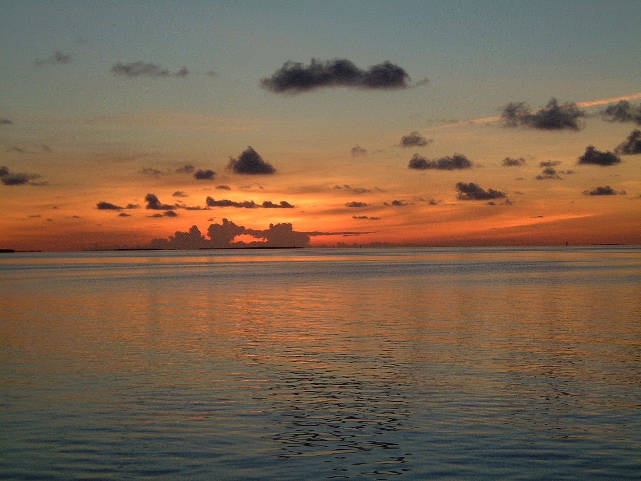 florida keys sunset ocean free photo