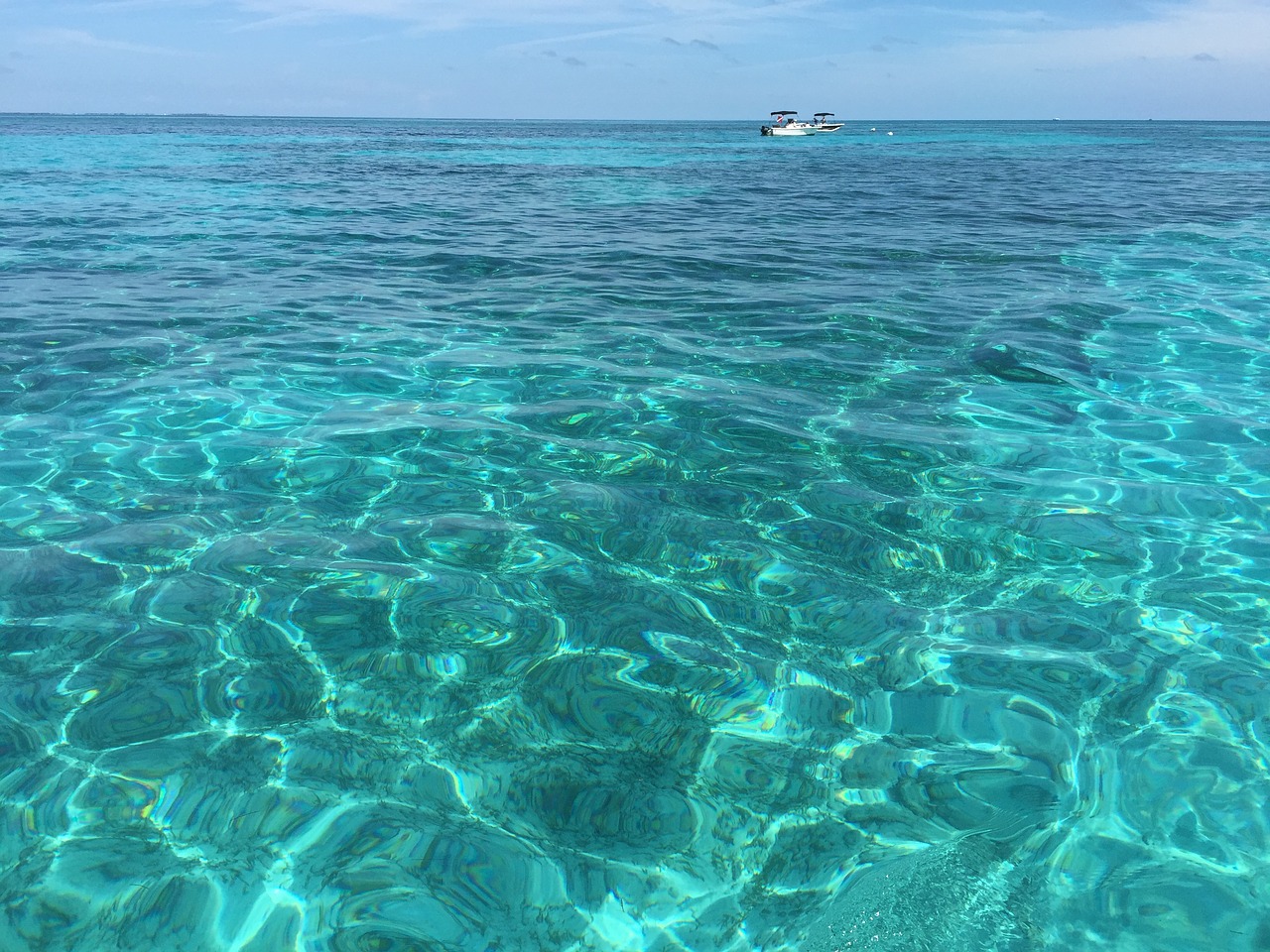 florida keys looe key snorkeling free photo