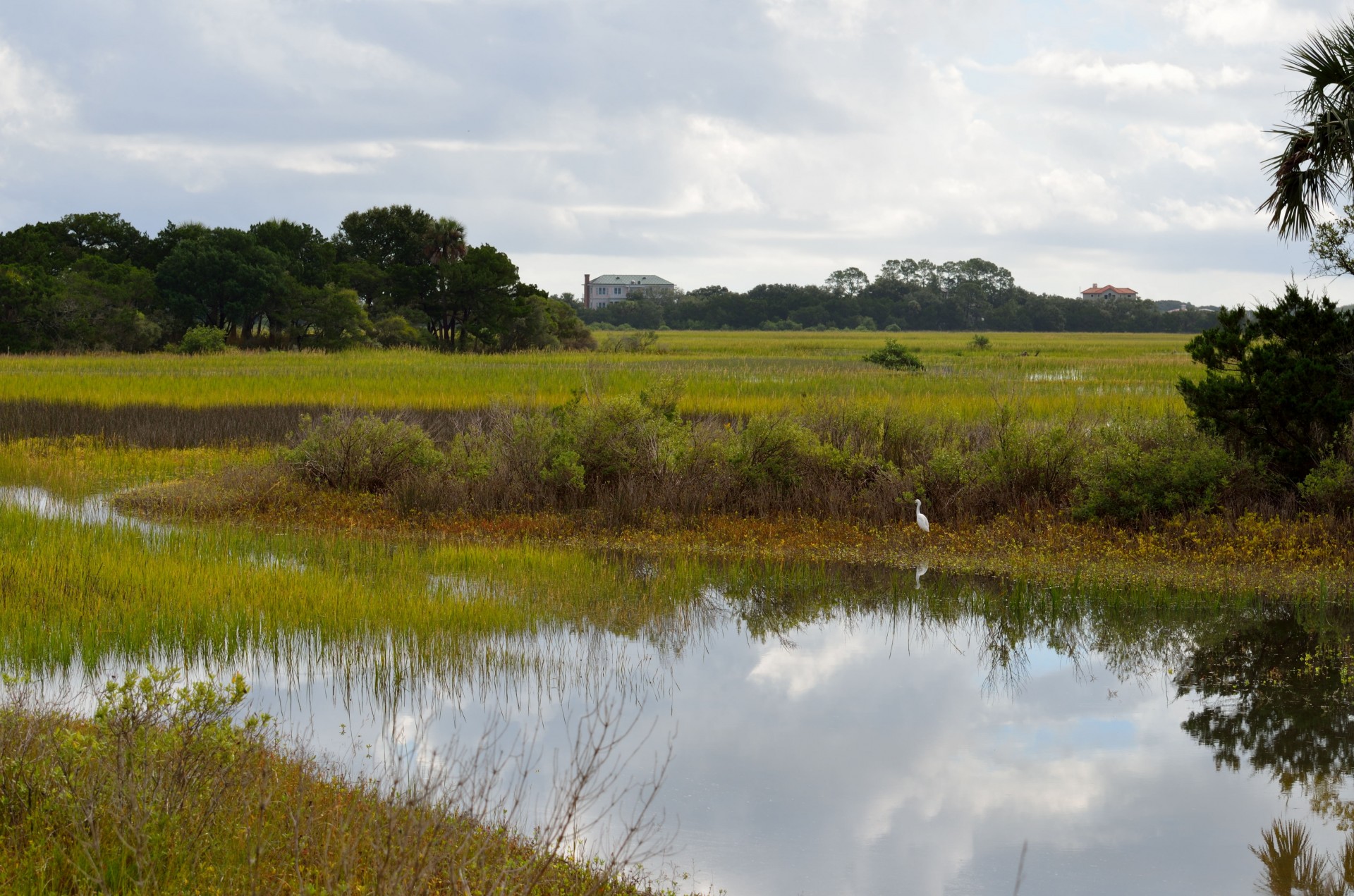 marsh land wetlands free photo