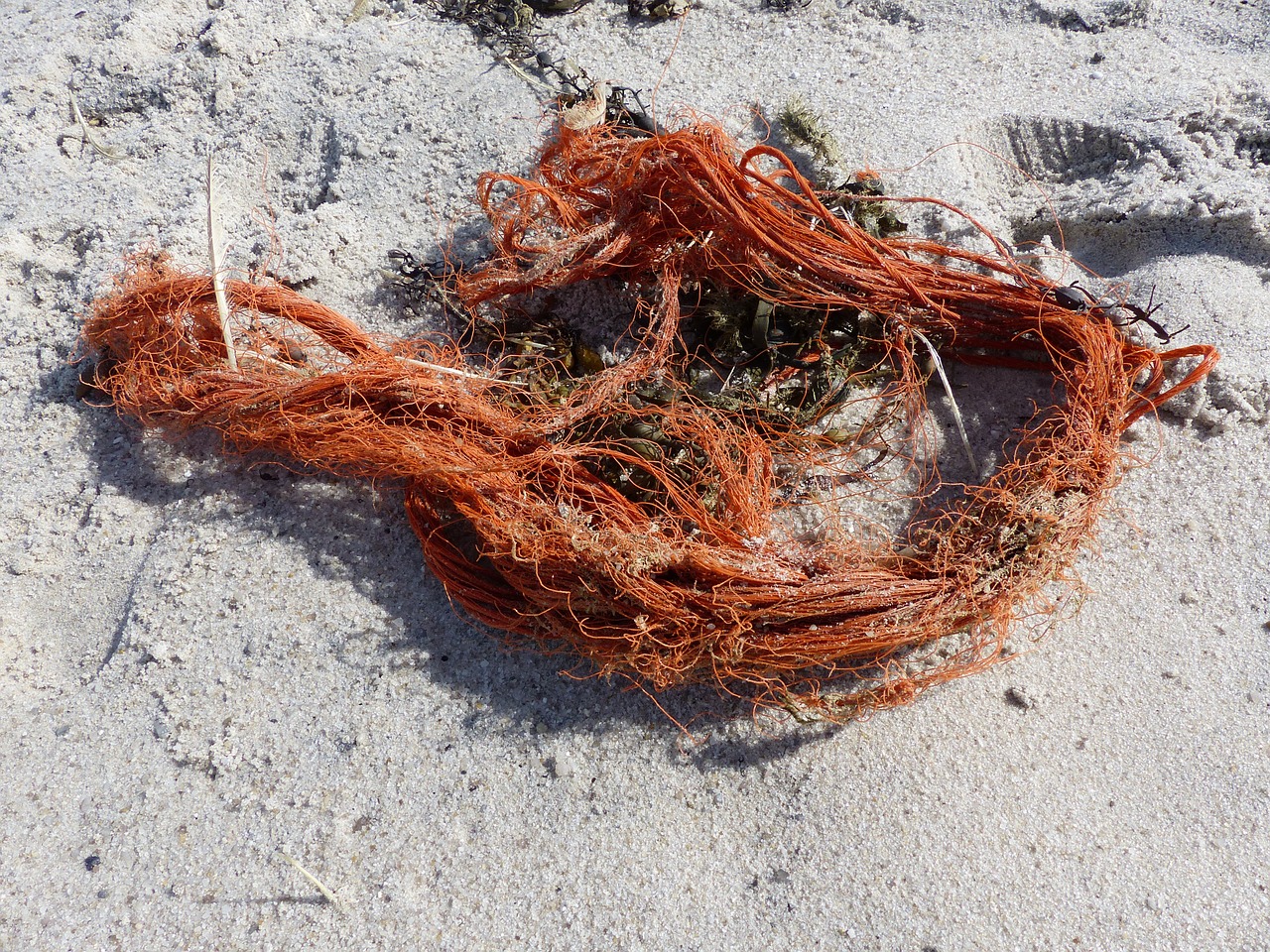 flotsam rope sand free photo