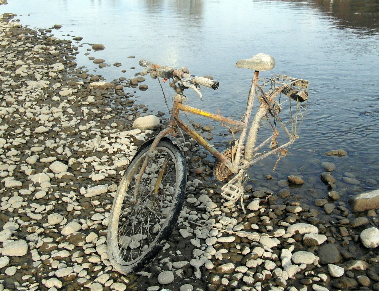 flotsam and jetsam bike old free photo