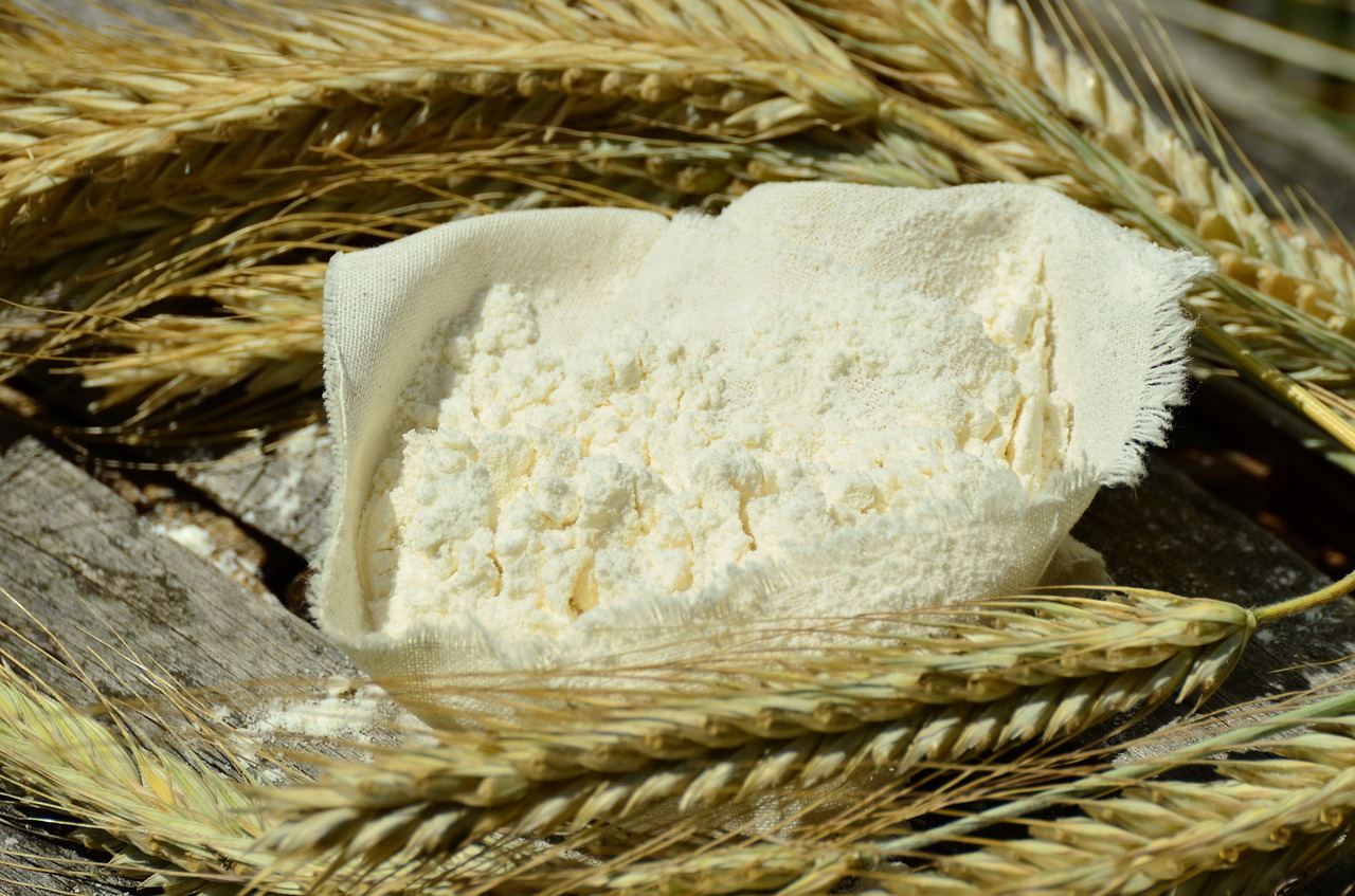 flour cereals barley free photo