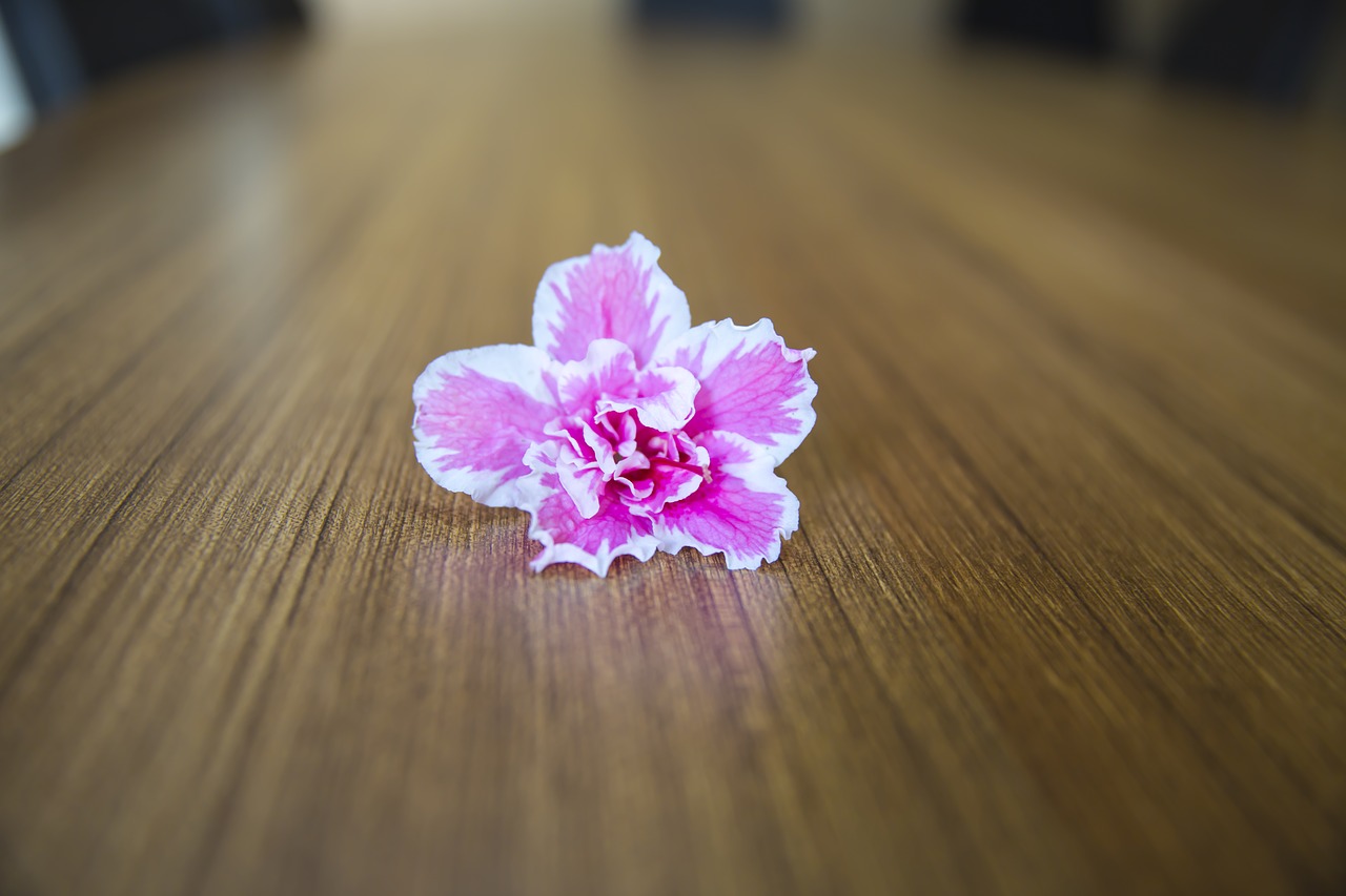 floweers and table backround desk free photo