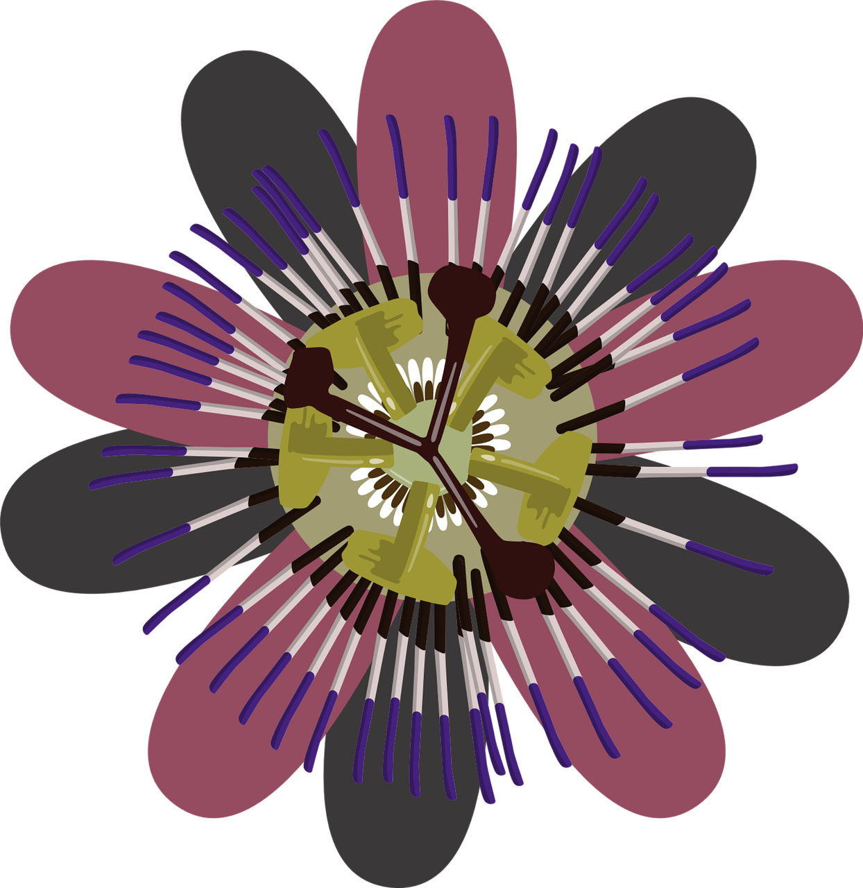 flower purple clip art free photo