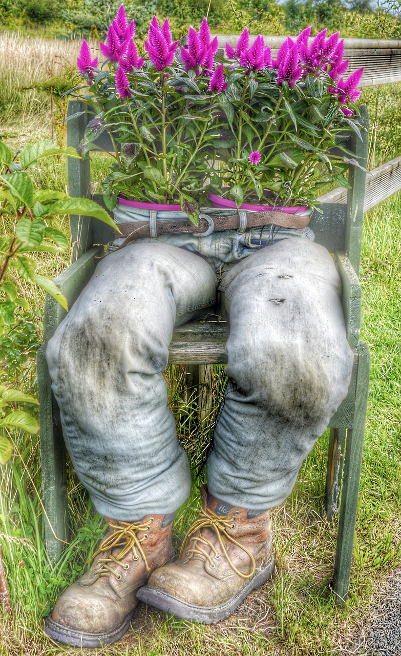 flower pot jeans free photo