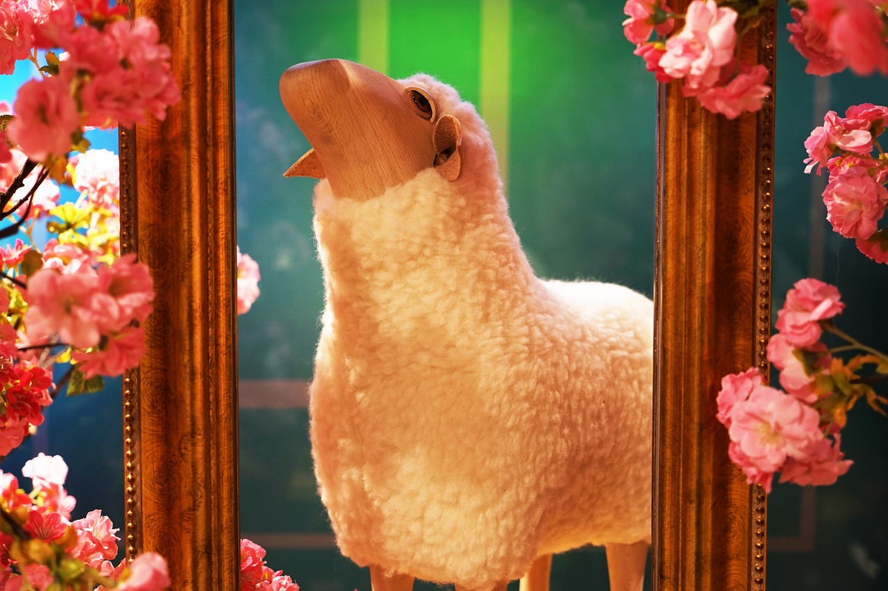 flower sheep design free photo