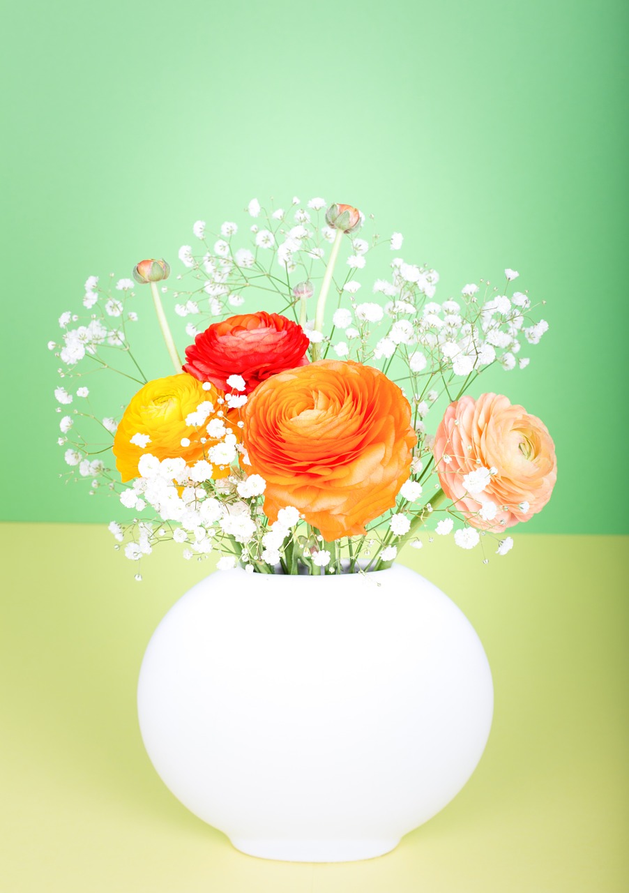flower ranunculus flower vase free photo