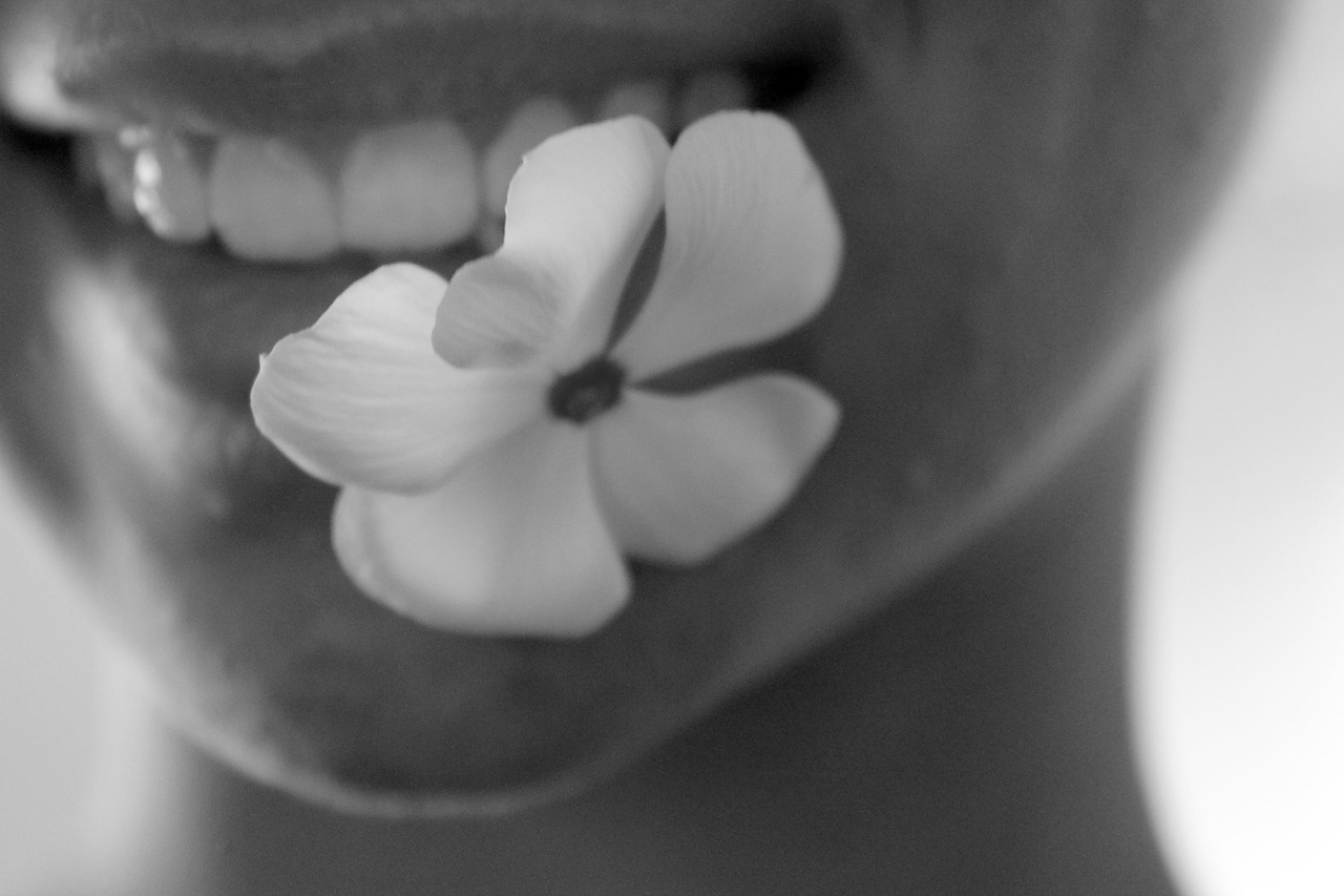 flower plant mouth free photo