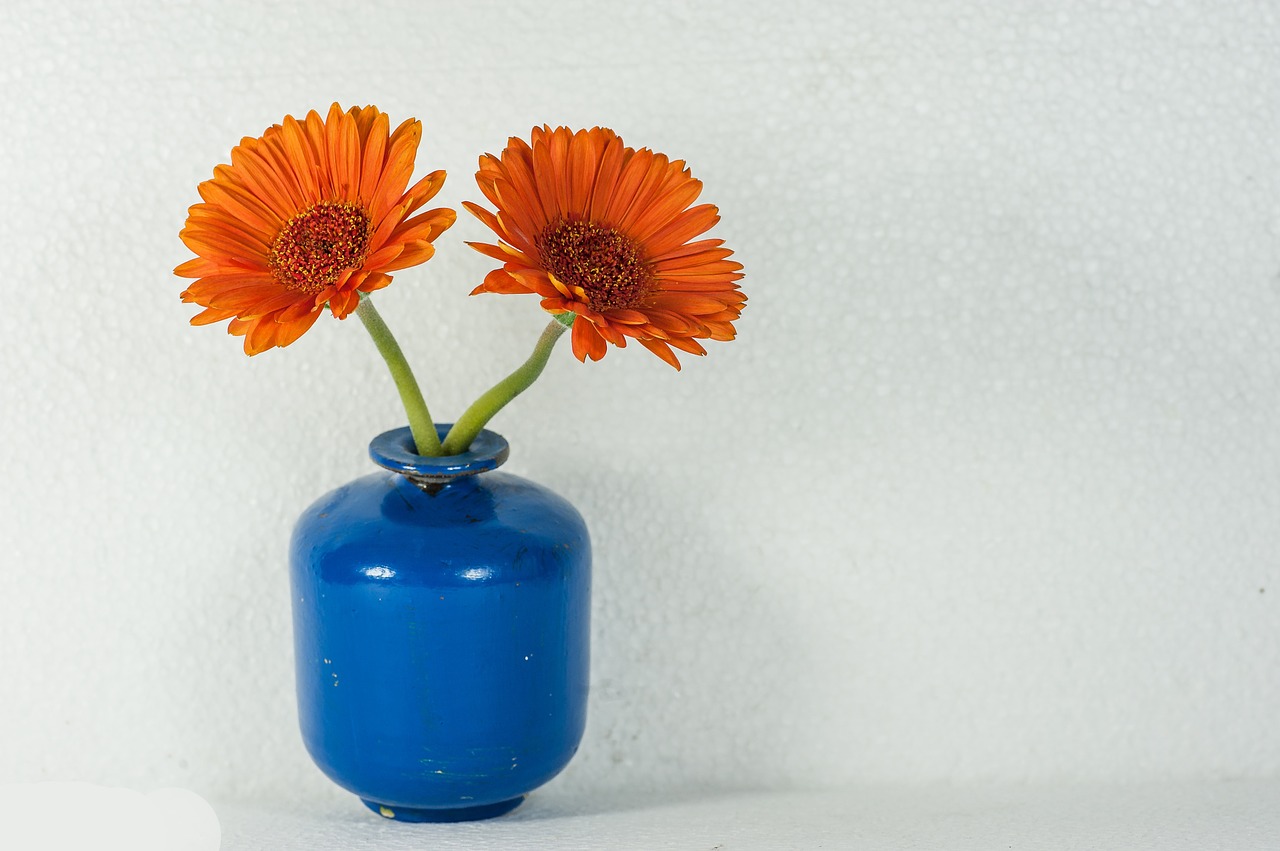 flower vase flowers free photo