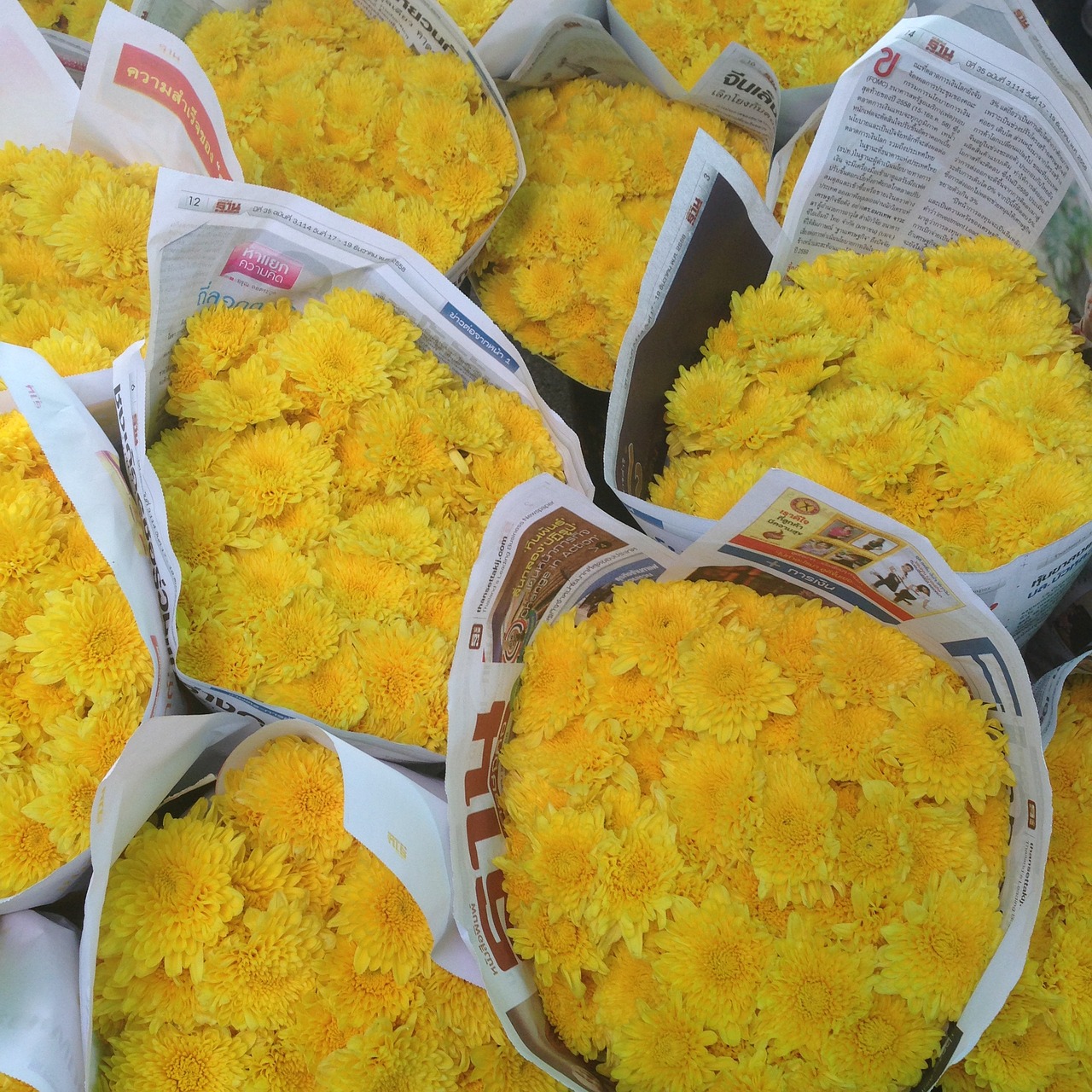 flower yellow flower market free photo