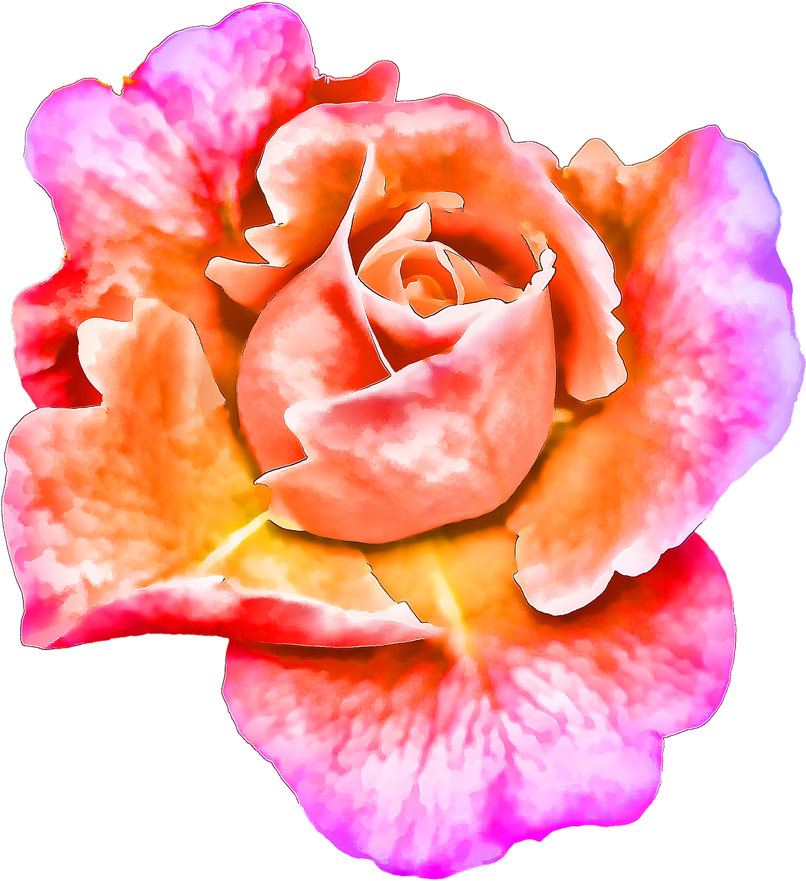 flower painting art free photo