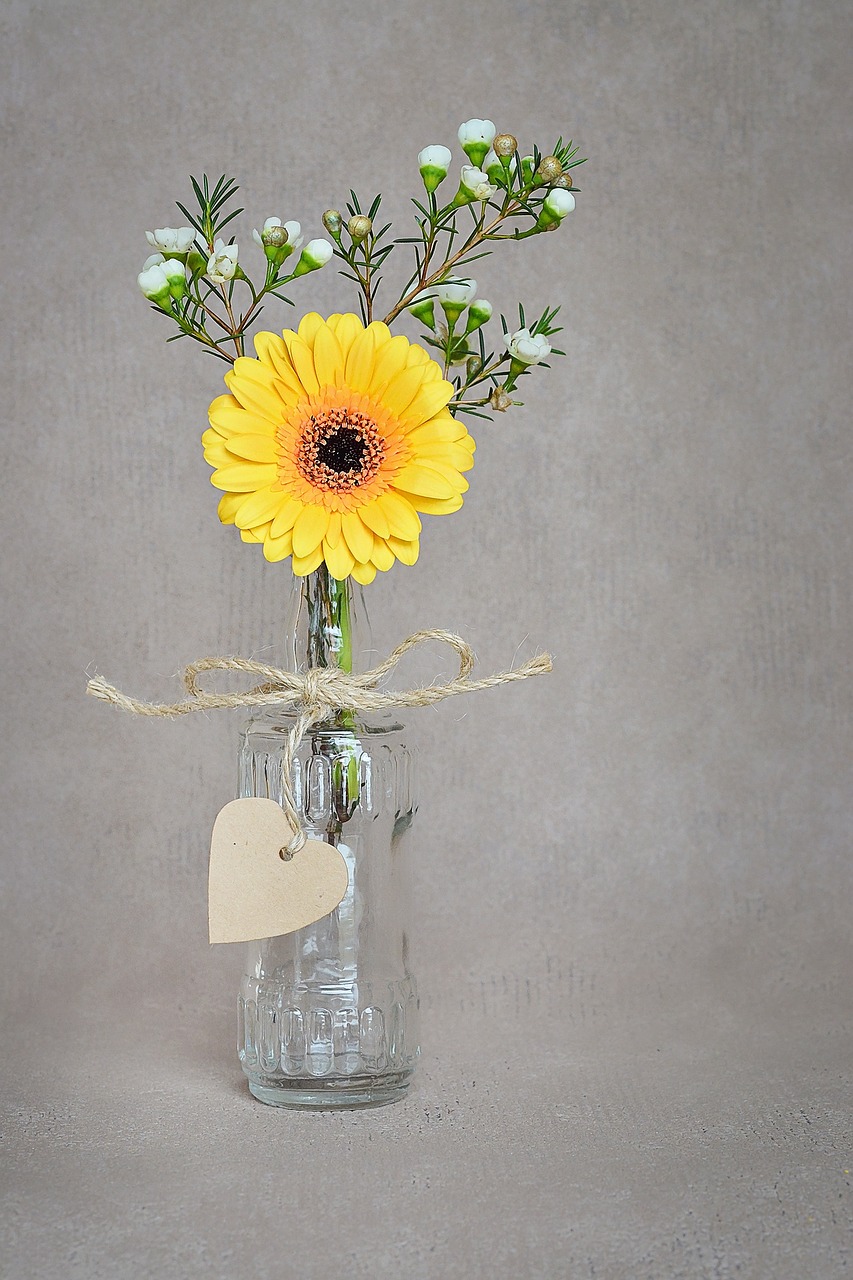 flower gerbera yellow free photo