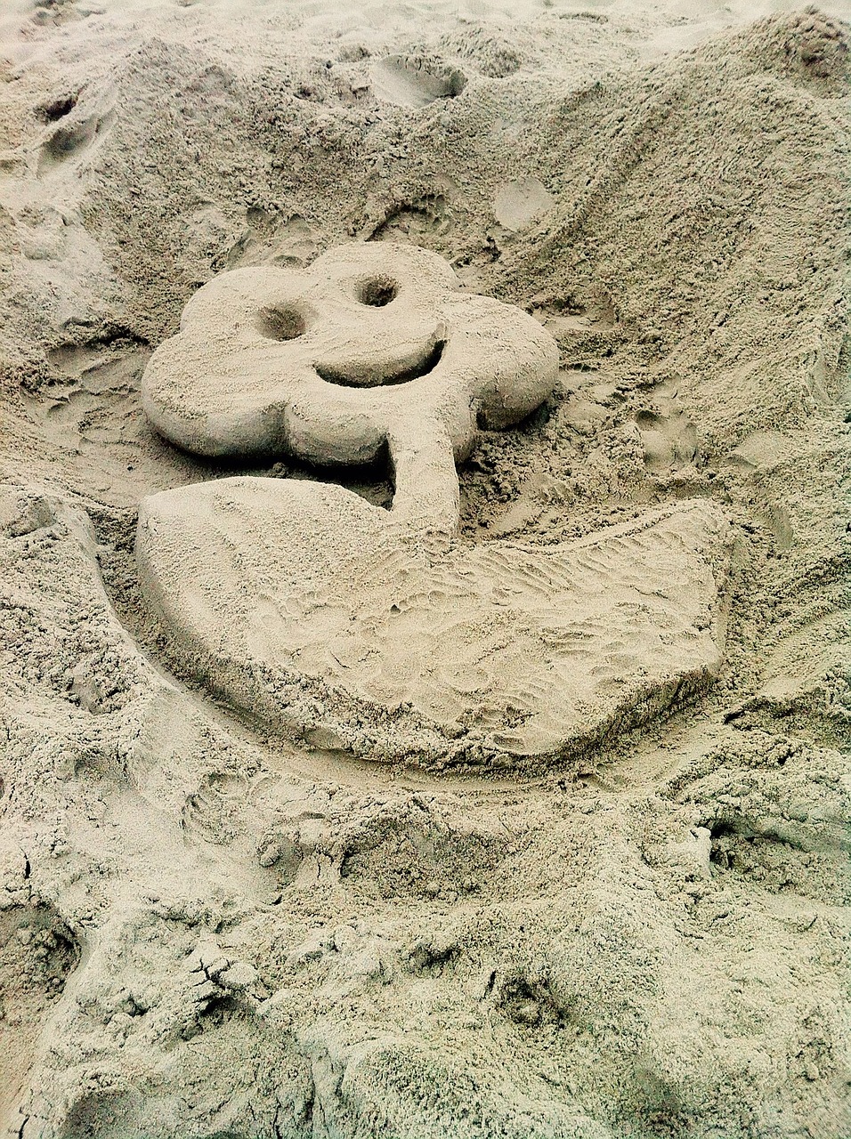 flower smile sand free photo