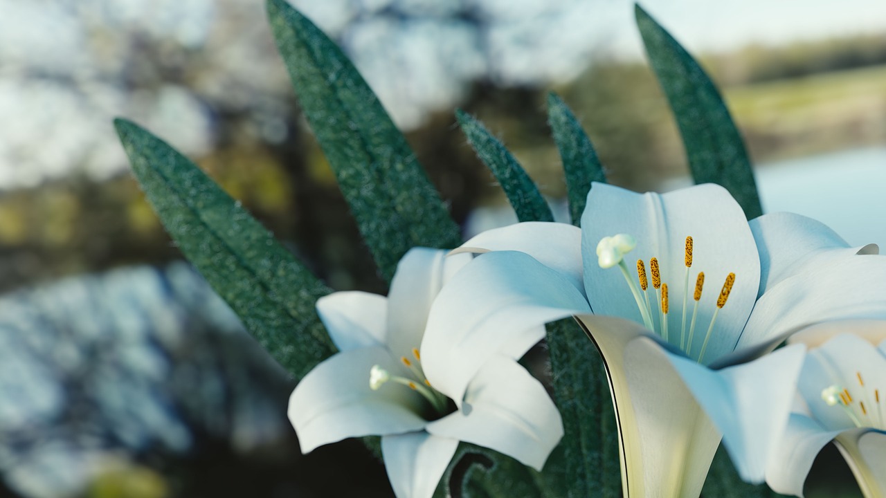 flower white flower nature free photo