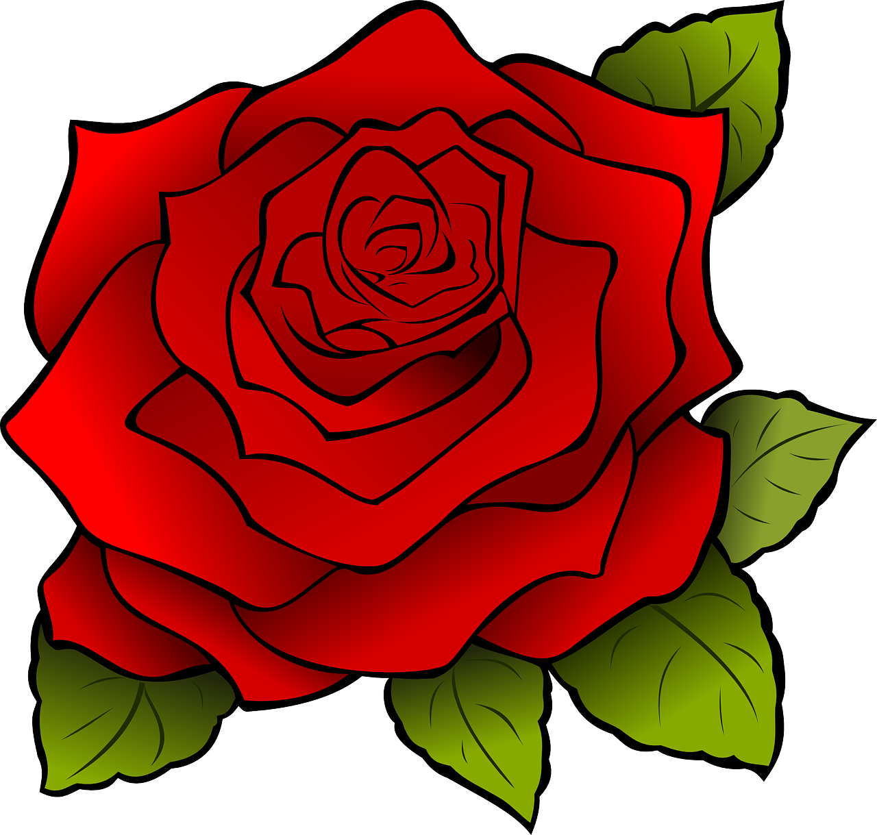 flower red rose free photo