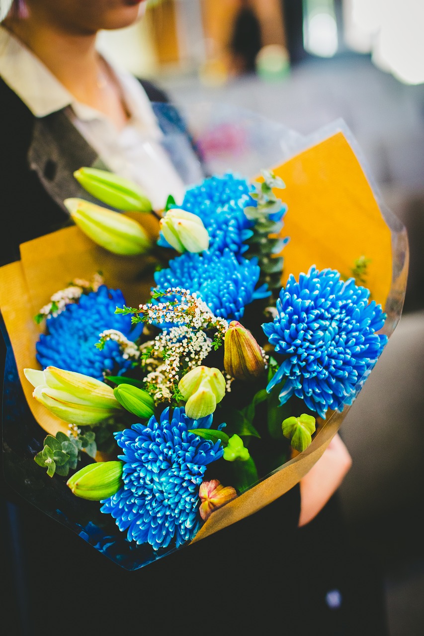 flower blue colorful free photo
