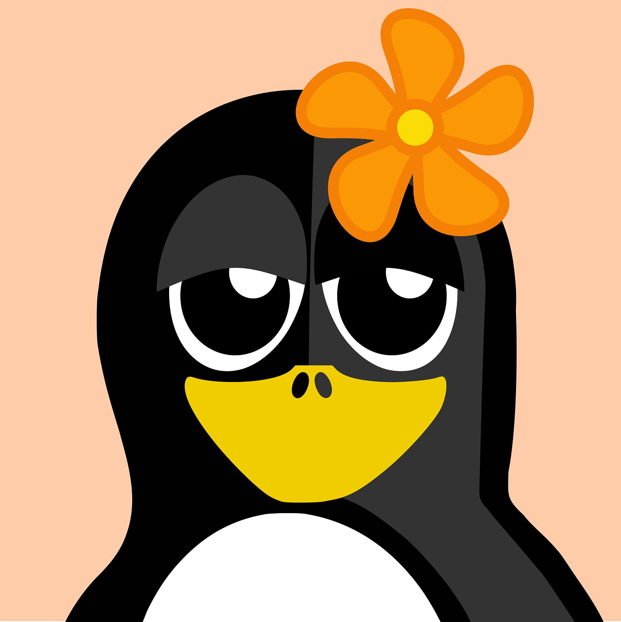 flower tux vector free photo