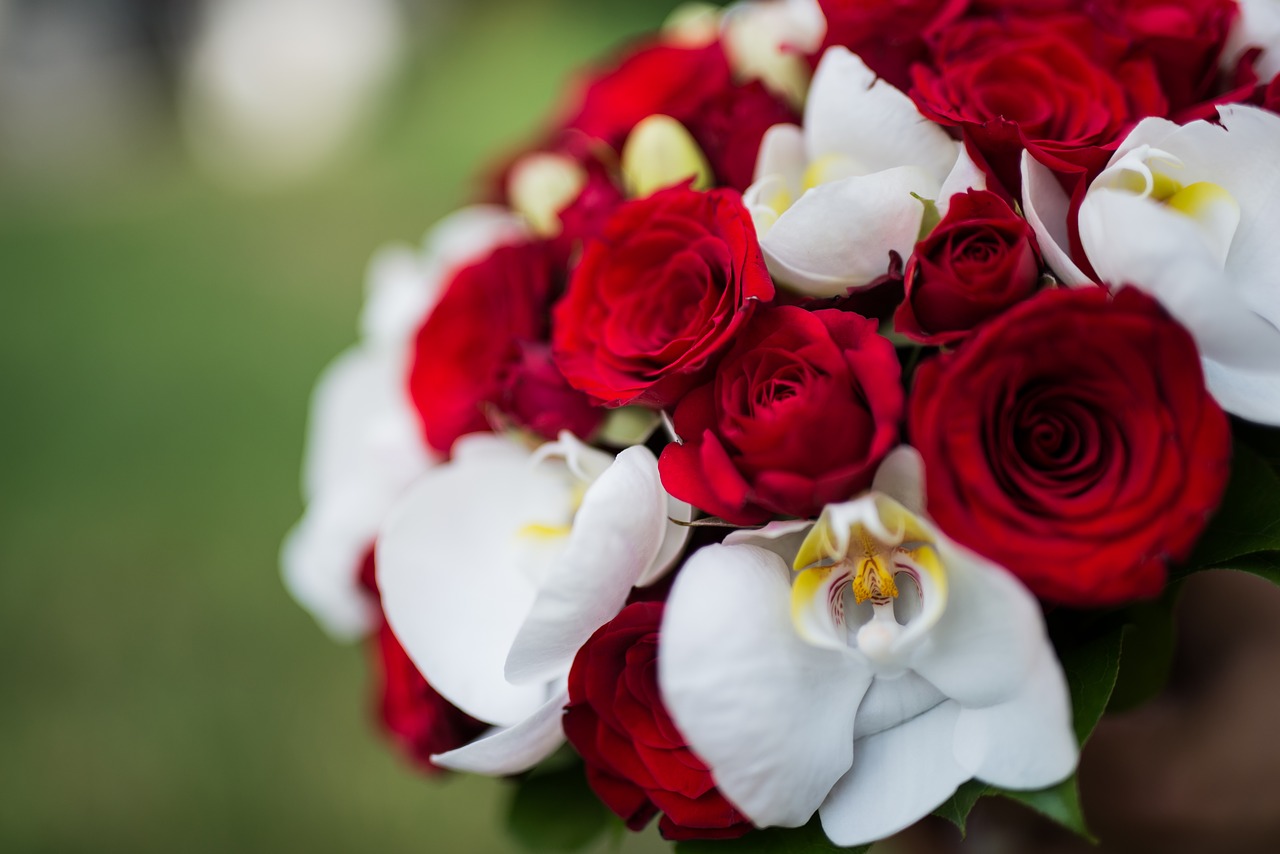 flower wedding red free photo