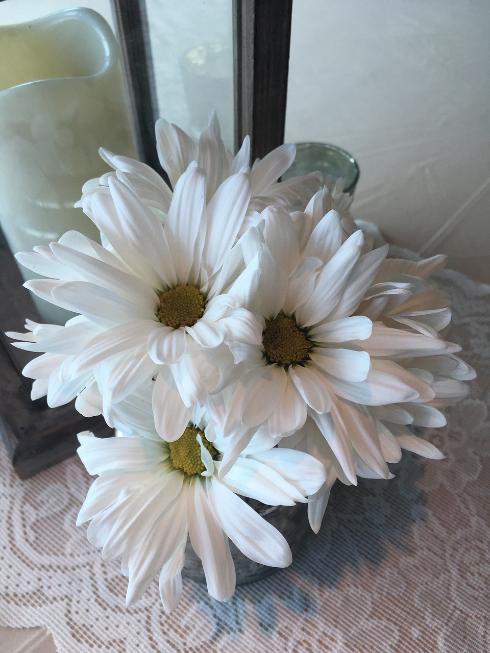 white daisy flower center pieces free photo