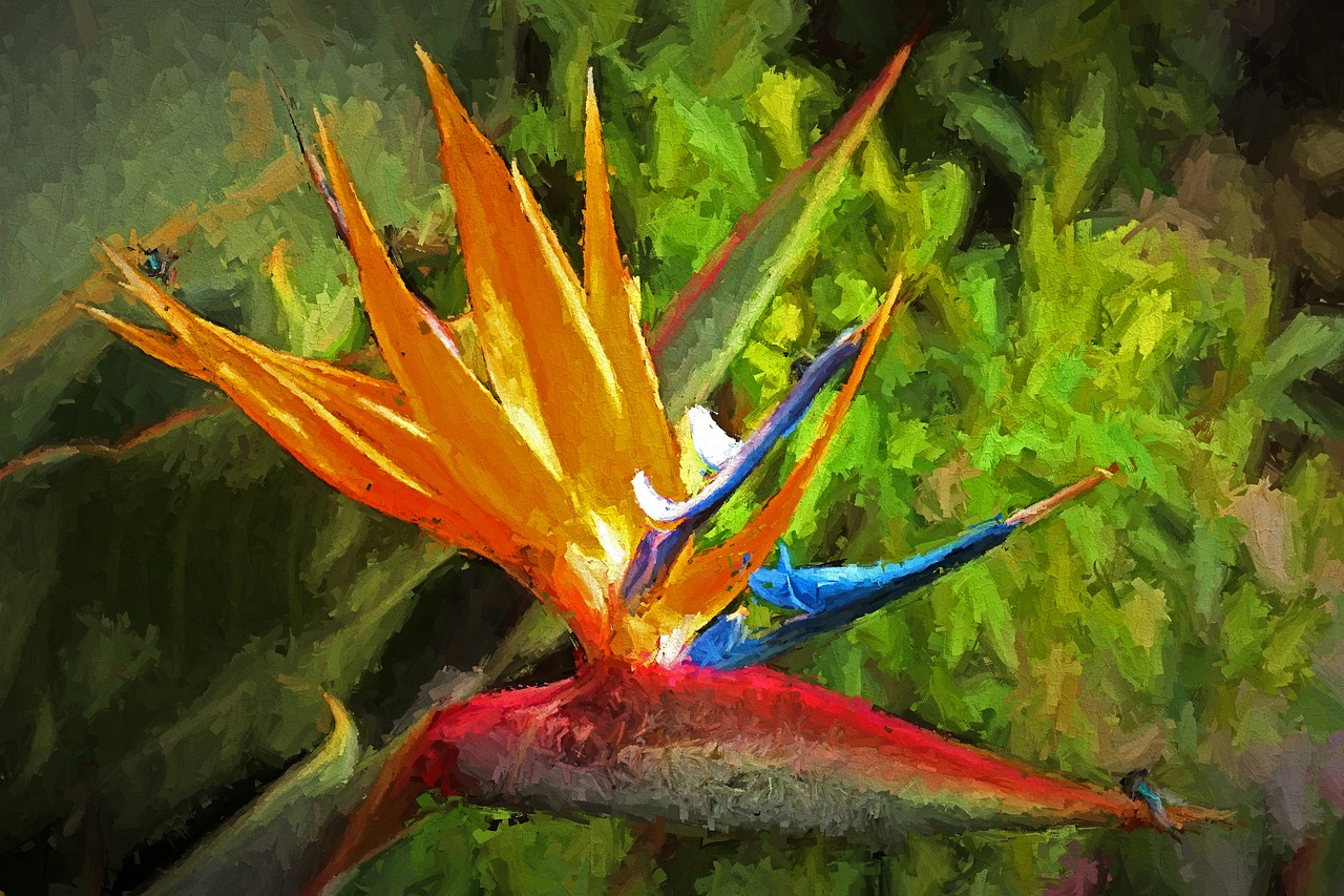 bird of paradise flower art free photo