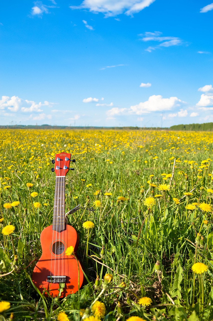 flower guitar sky free photo