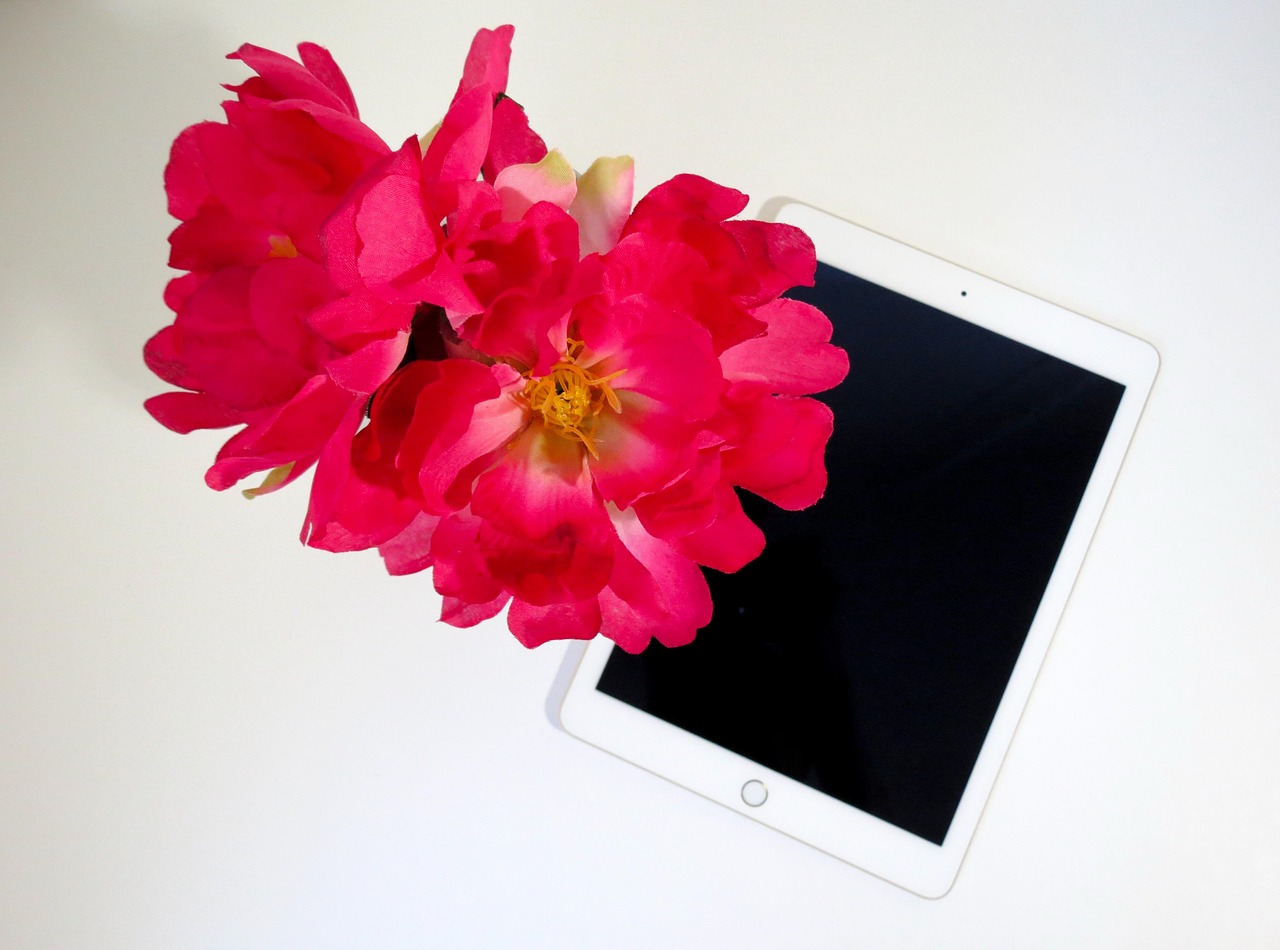 flower pink tablet free photo