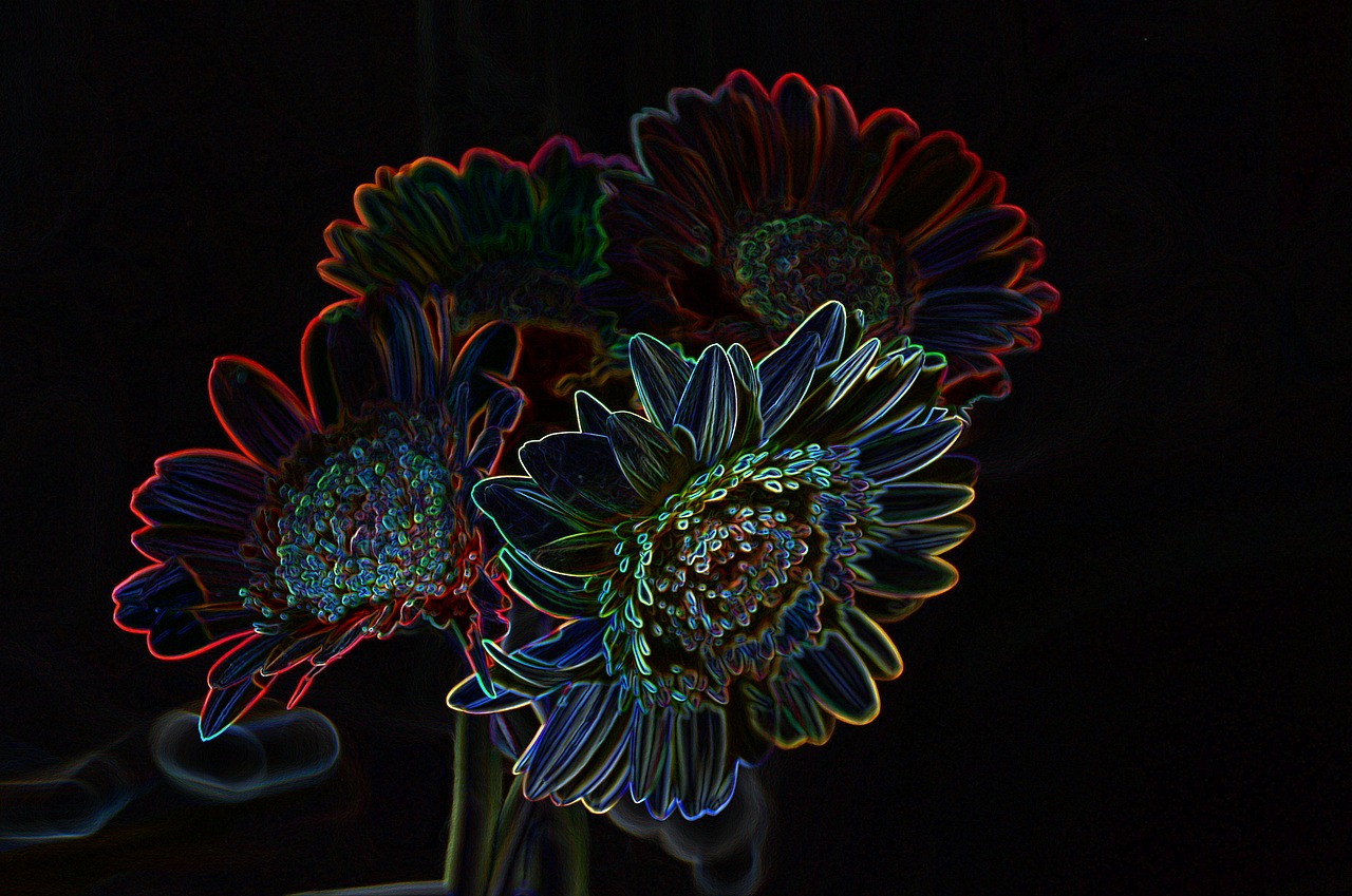 flower light neon free photo