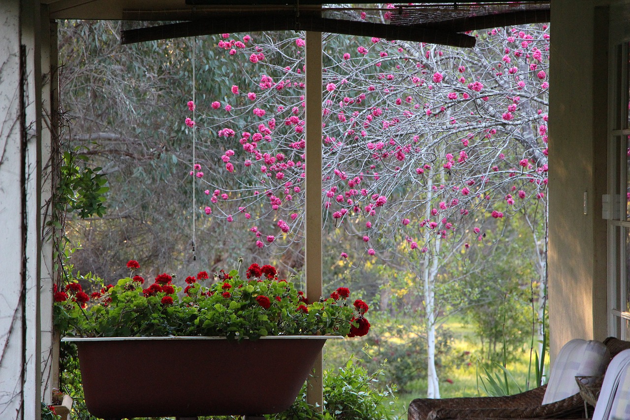 flower bath countryside free photo