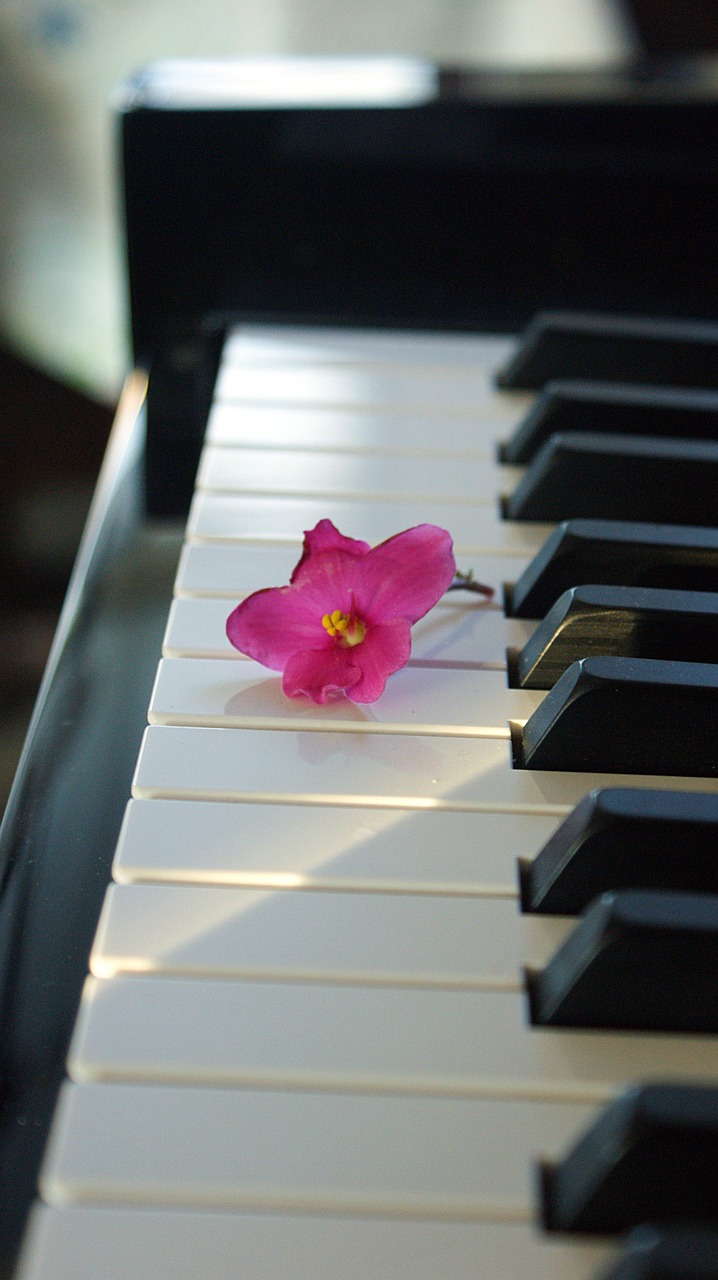 flower pink flower piano free photo