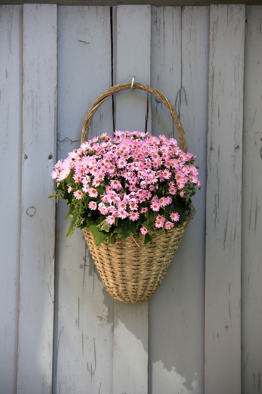 flower basket flowers free photo