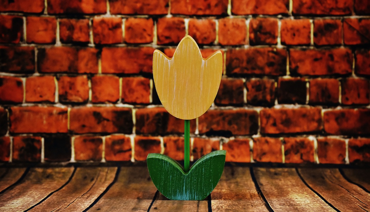 flower tulip wood free photo