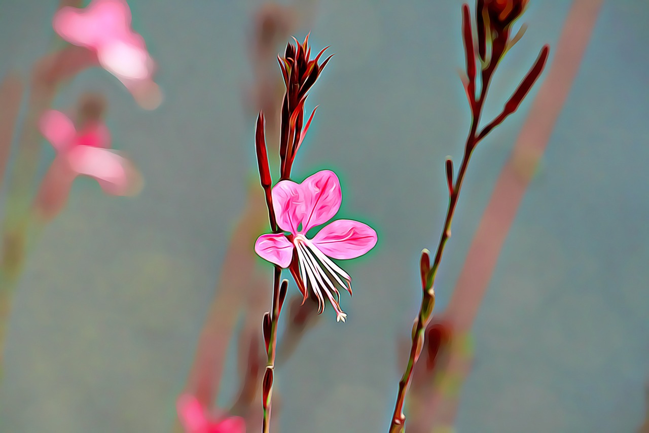 flower pink nature free photo