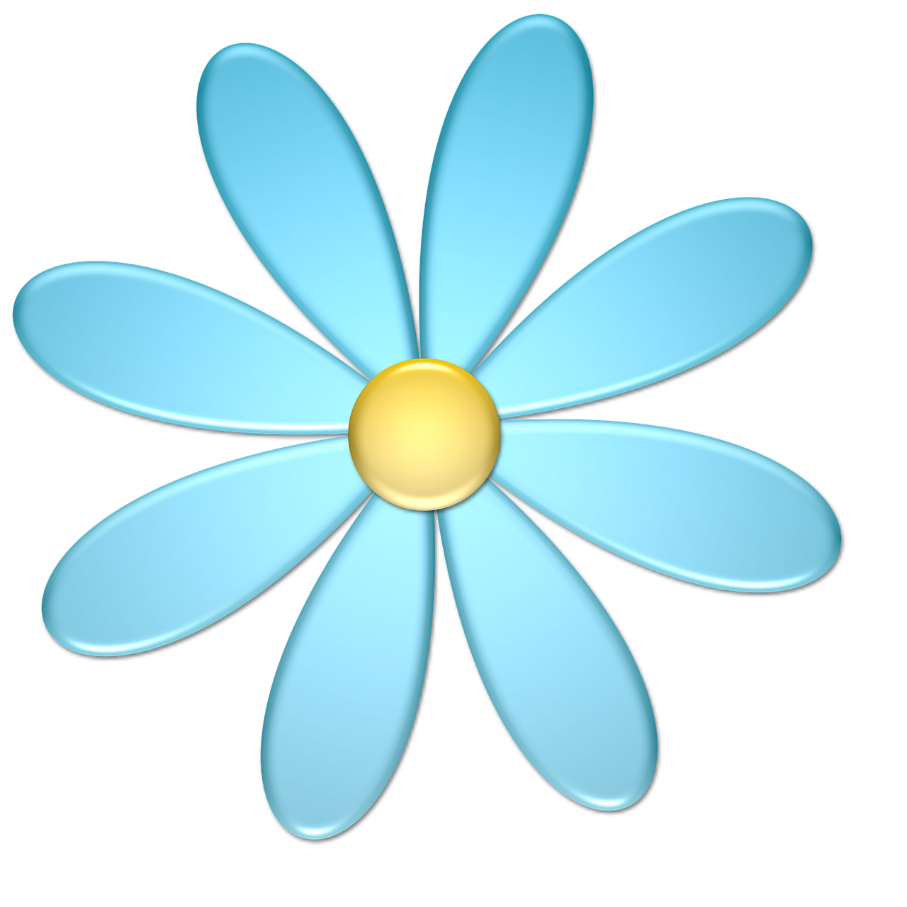 flower blue yellow free photo