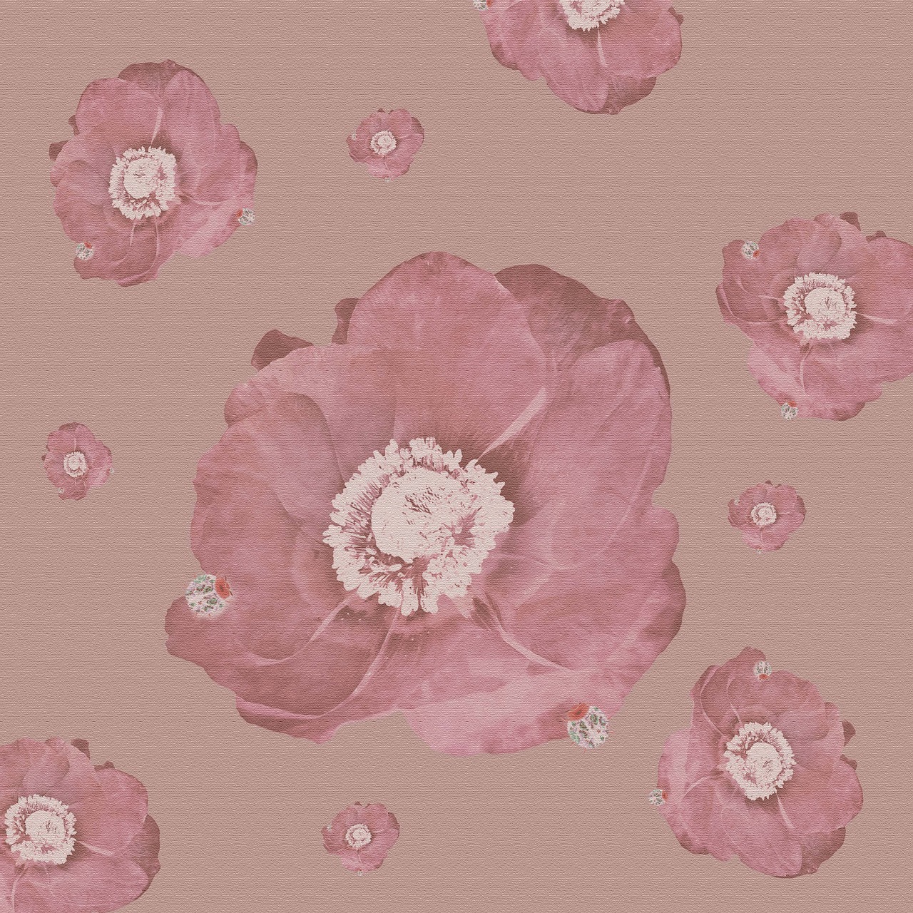 flower background pink free photo