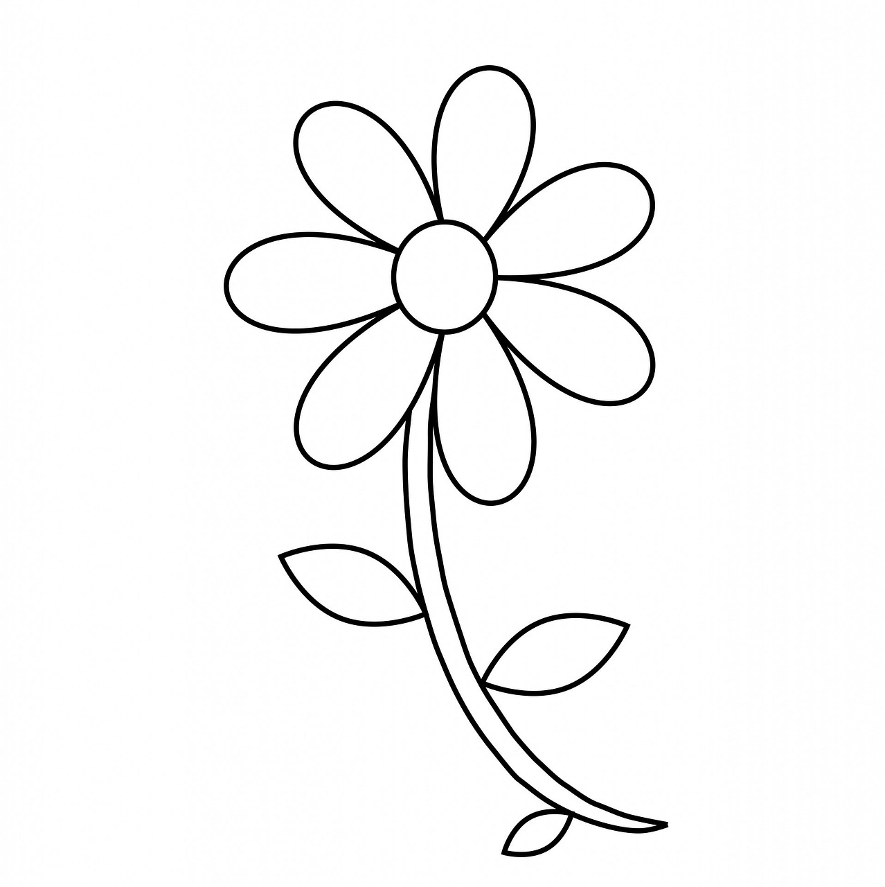 flower floral outline free photo
