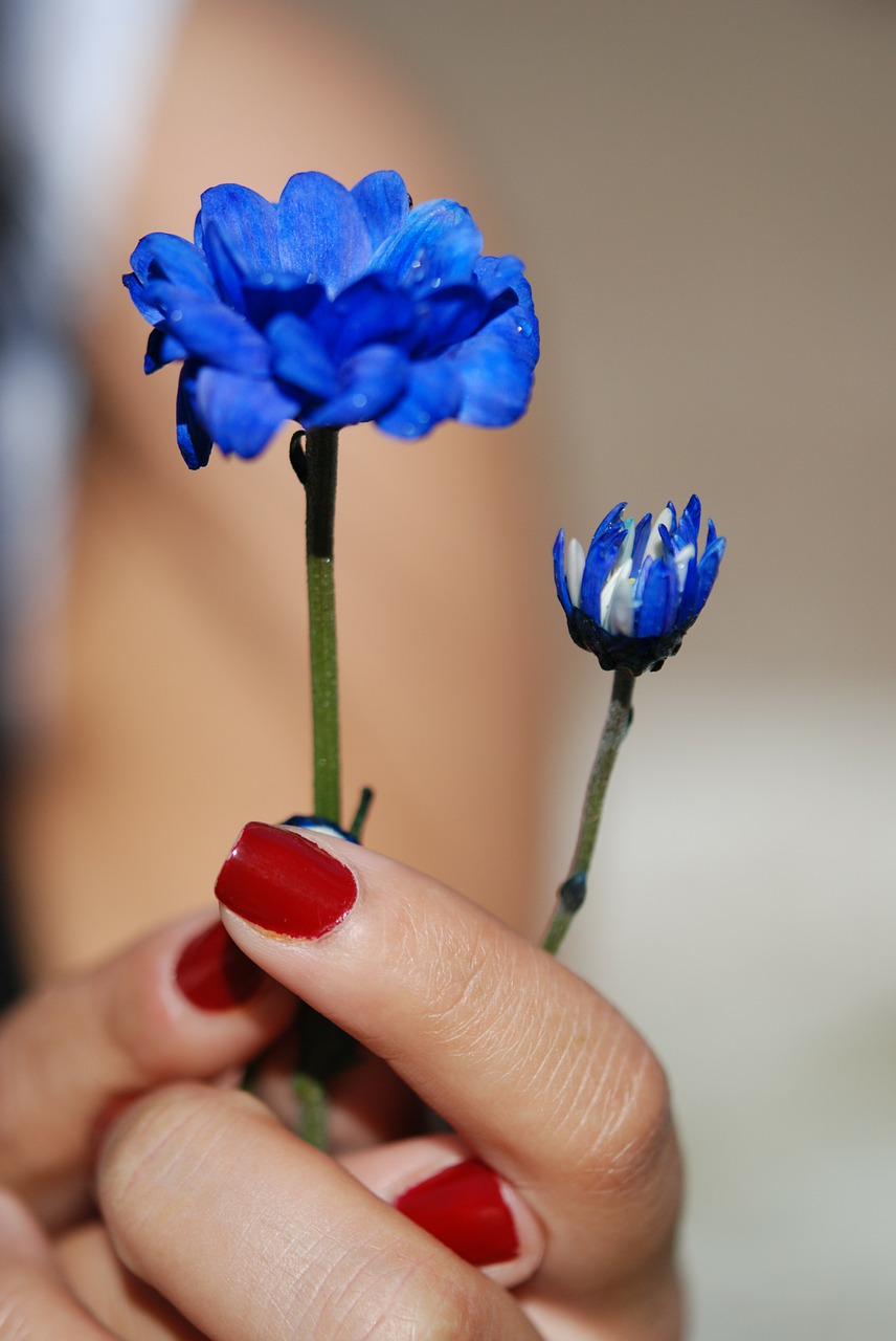 flower bouquet leaf free photo