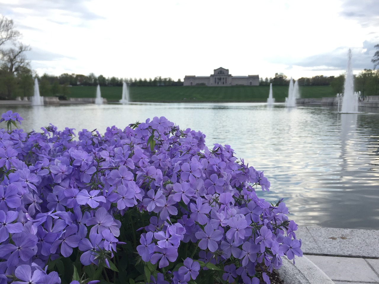 flower purple fountain free photo