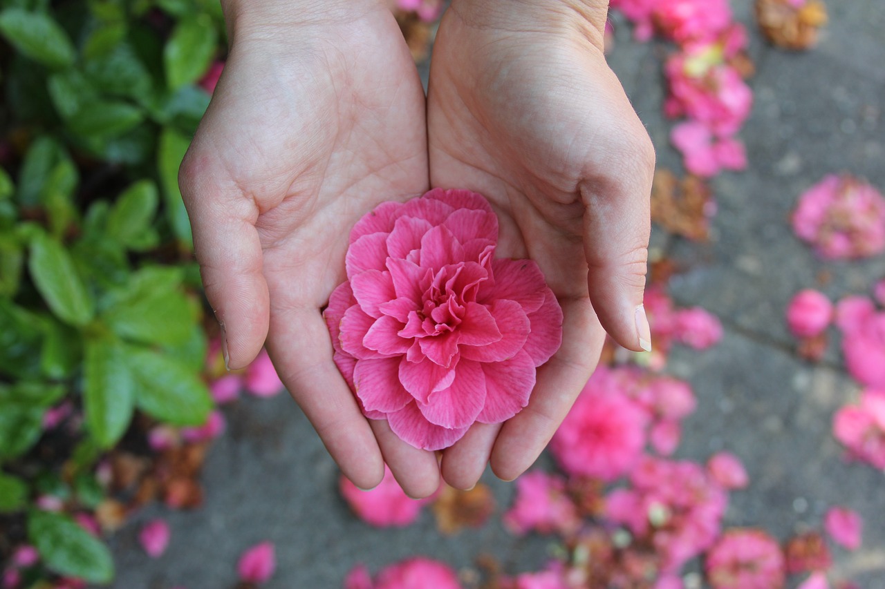 flower hands romantic free photo