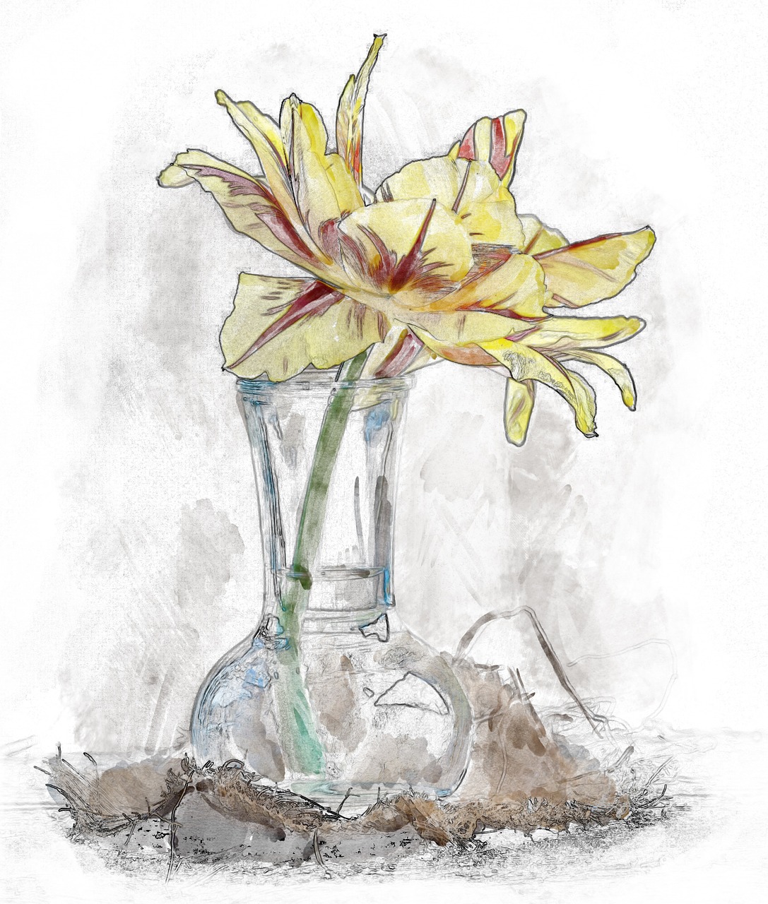 flower vase tulip free photo