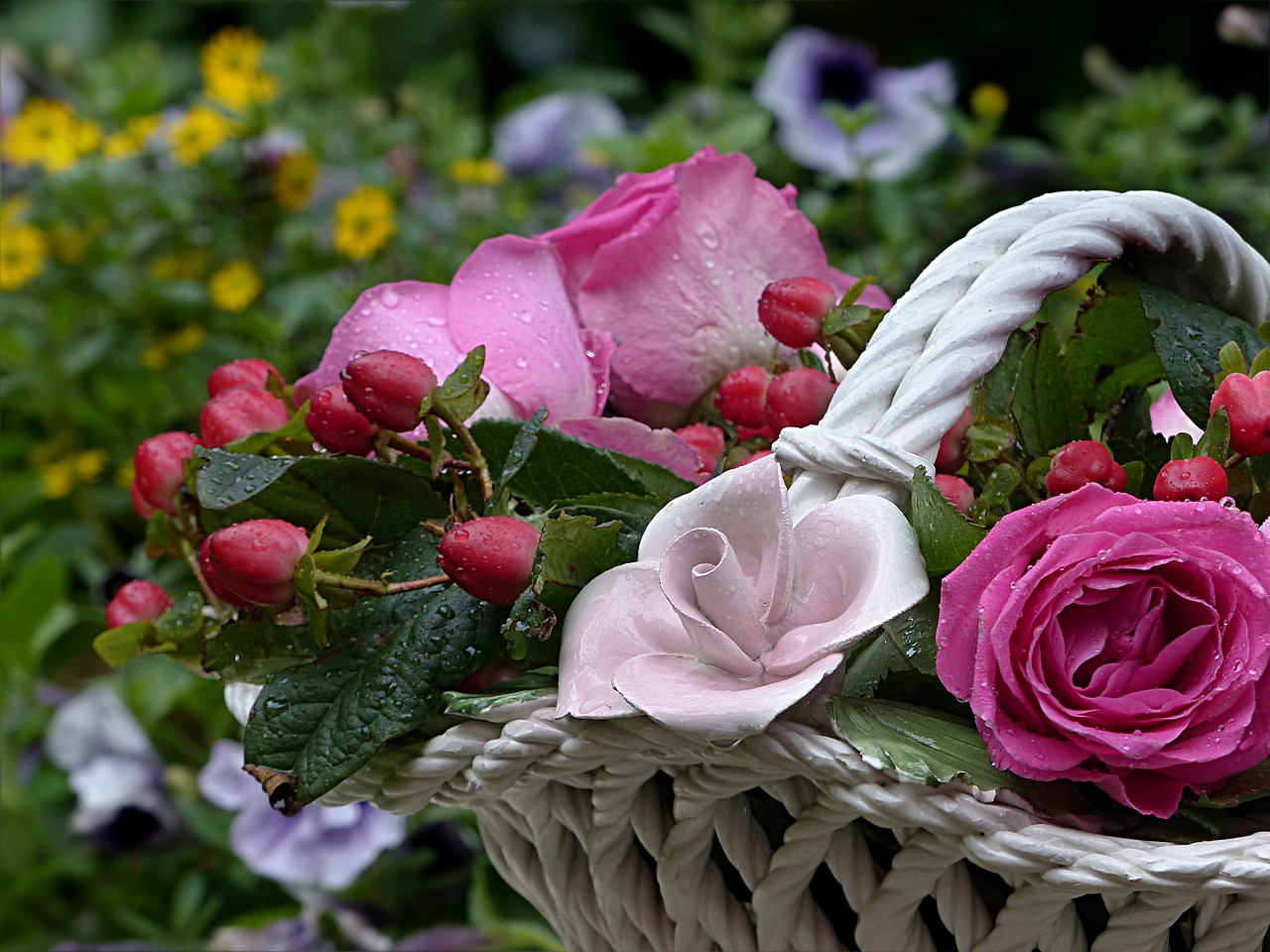 flower rose pink free photo