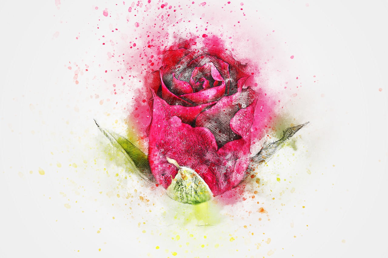 flower rose art free photo