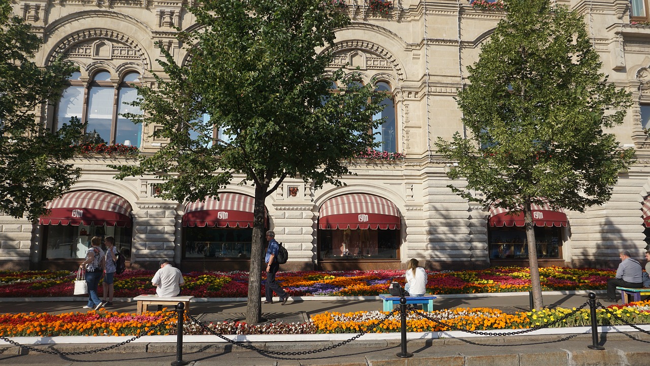 flower garden nature free photo