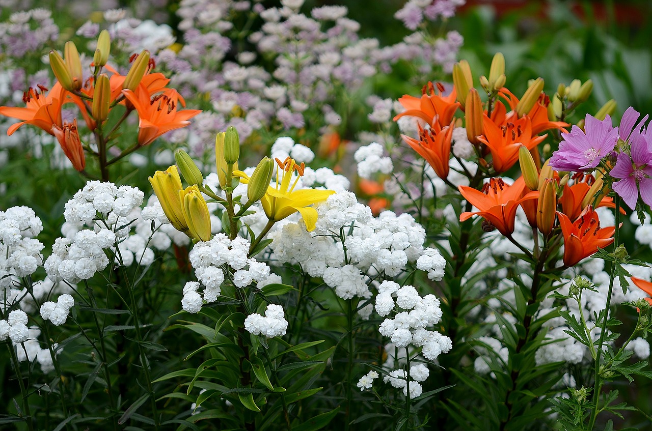 flower nature macro free photo