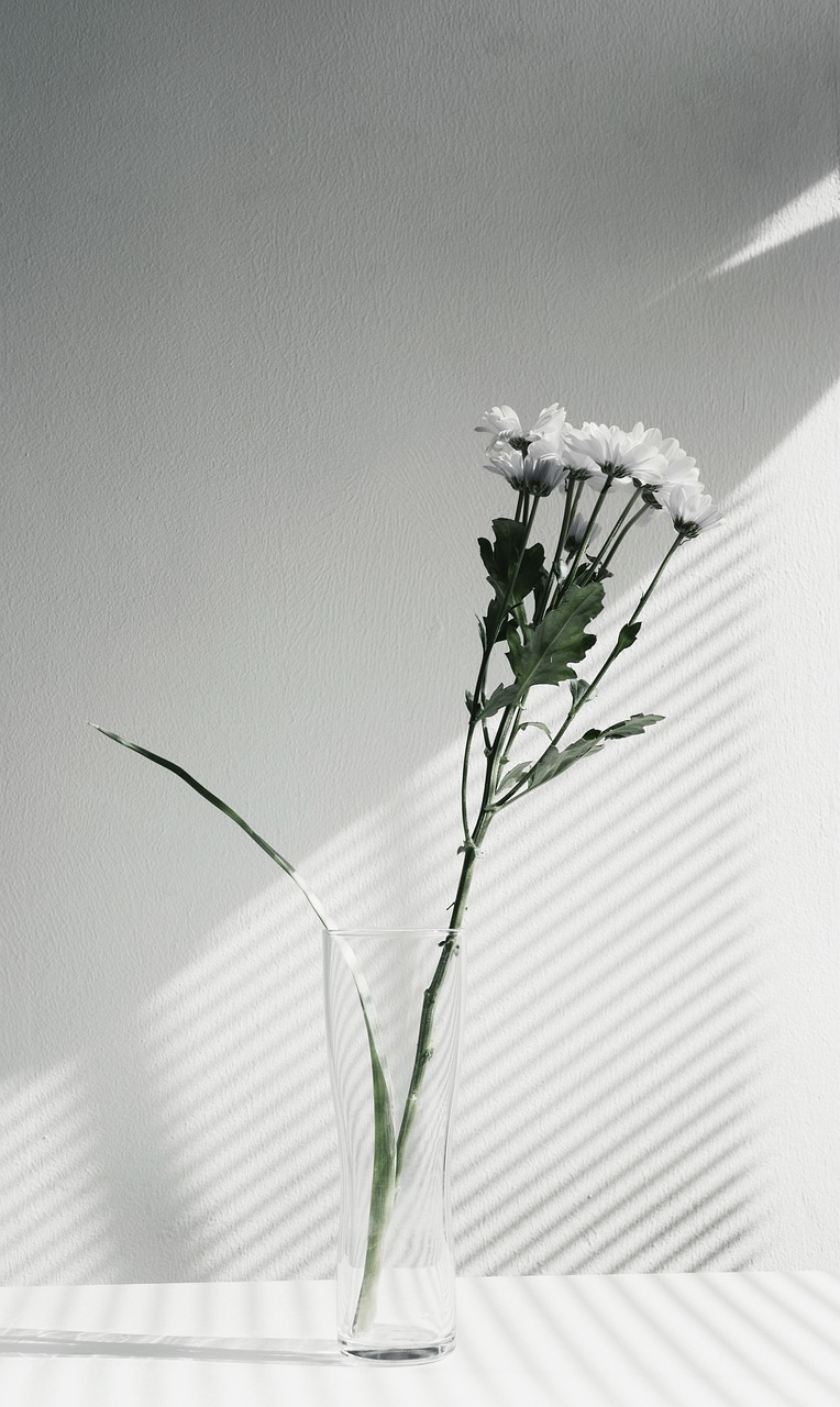 flower vase display free photo