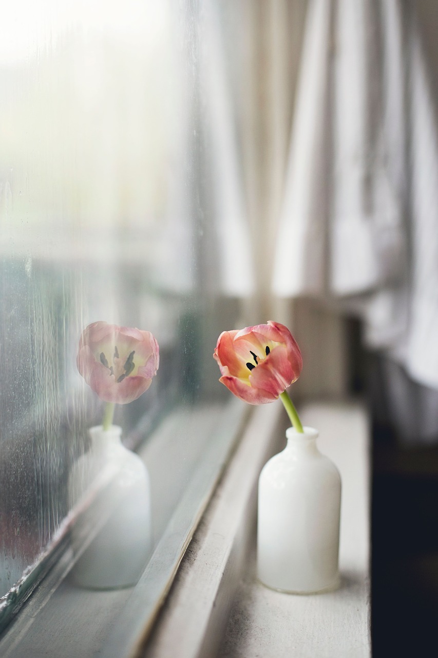 flower vase interior free photo