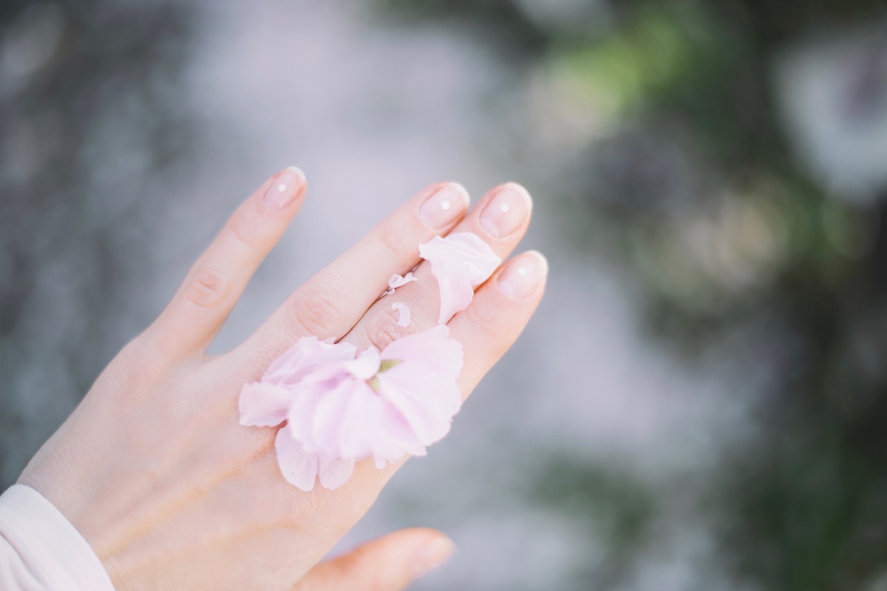 flower pink petal free photo