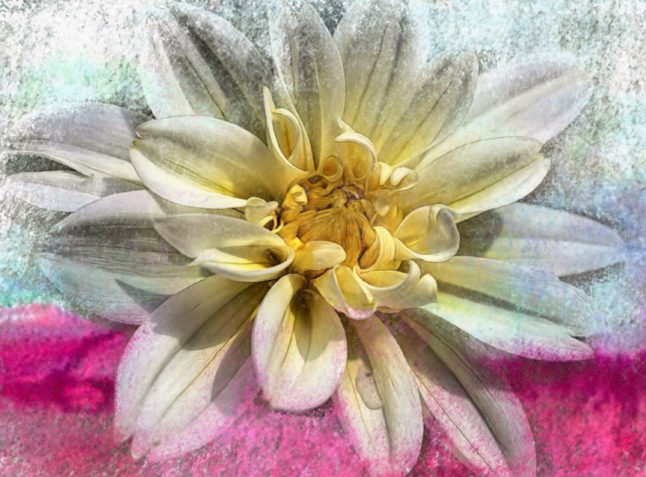 flower art painting free photo