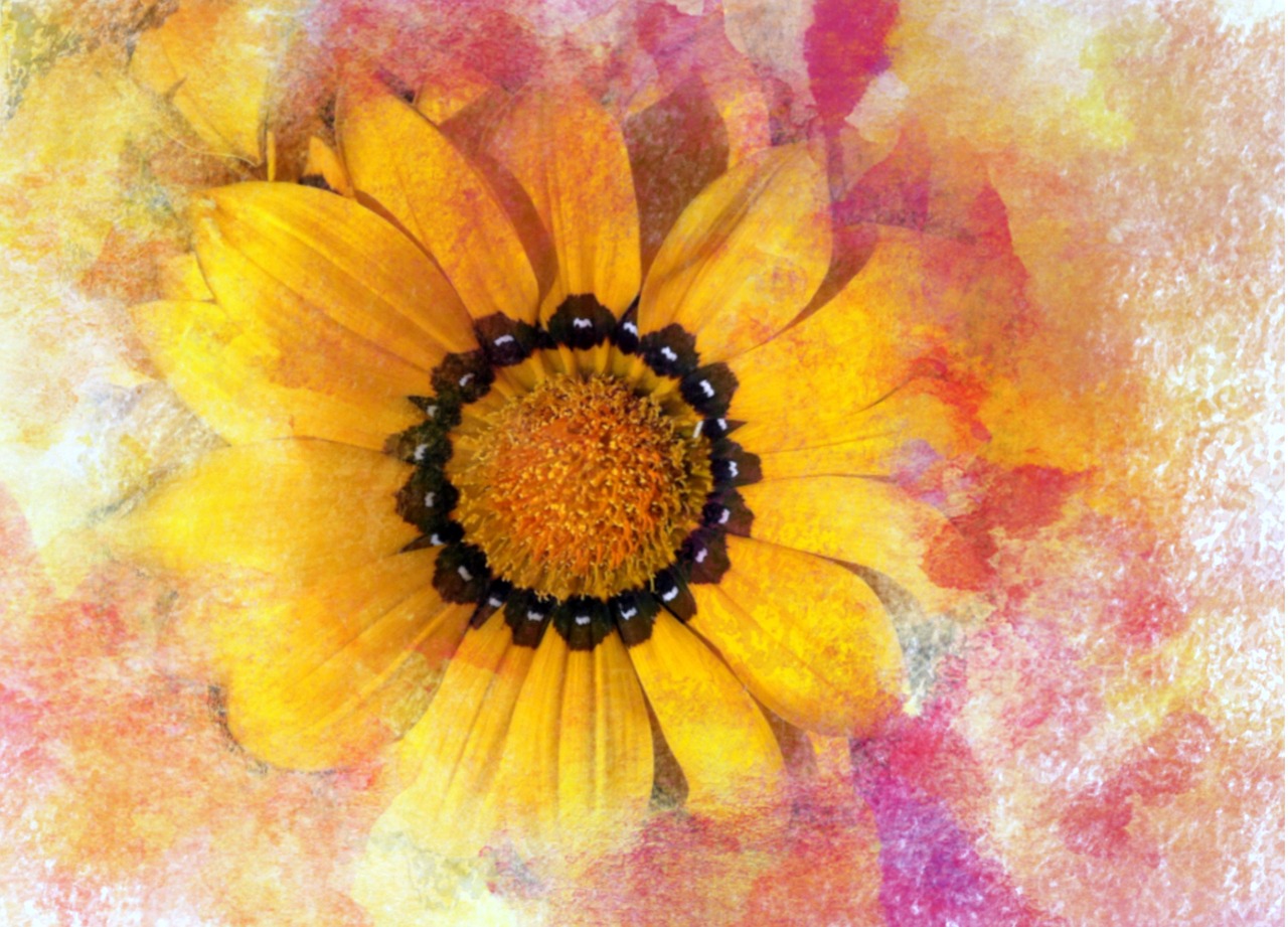 flower art background free photo