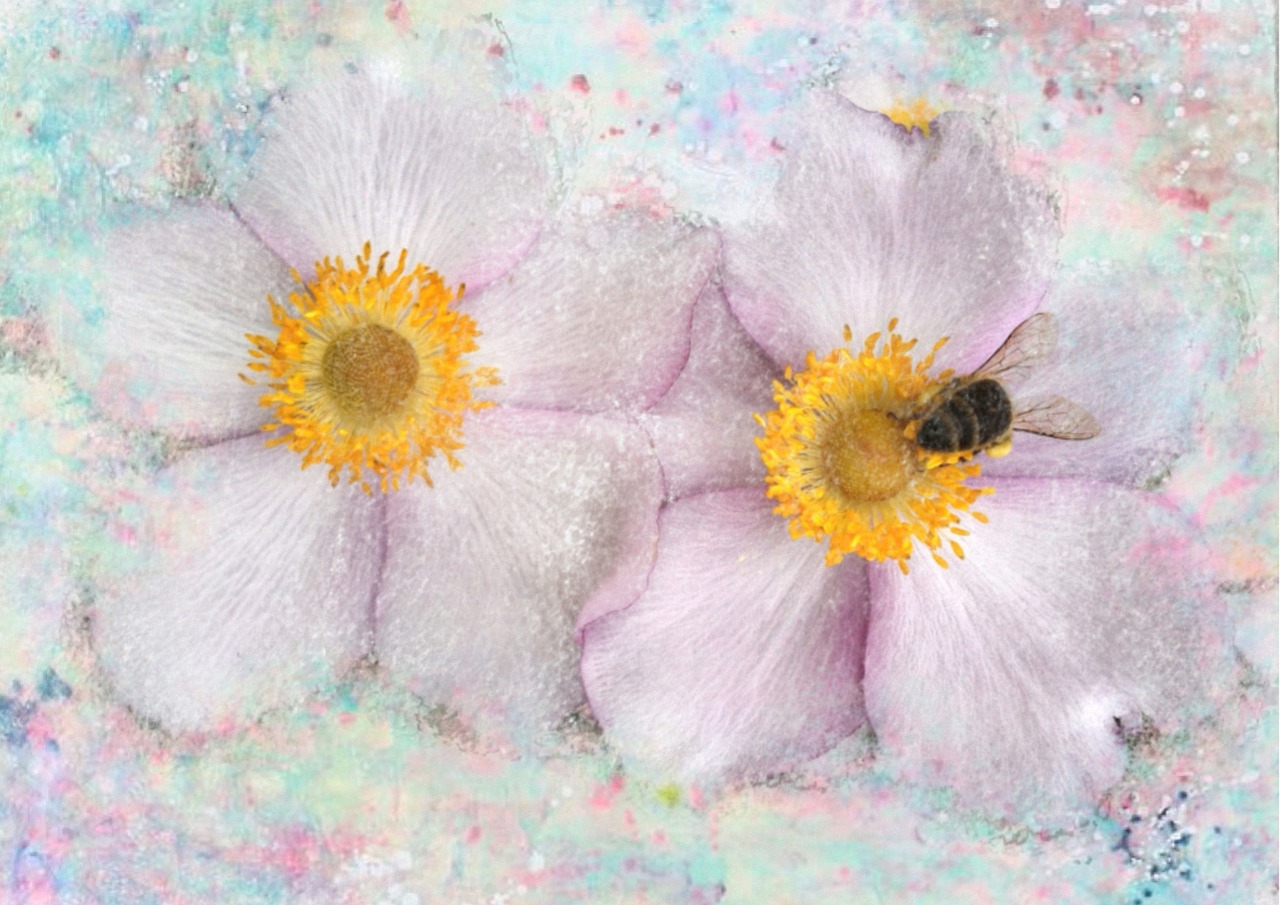 flower art background free photo