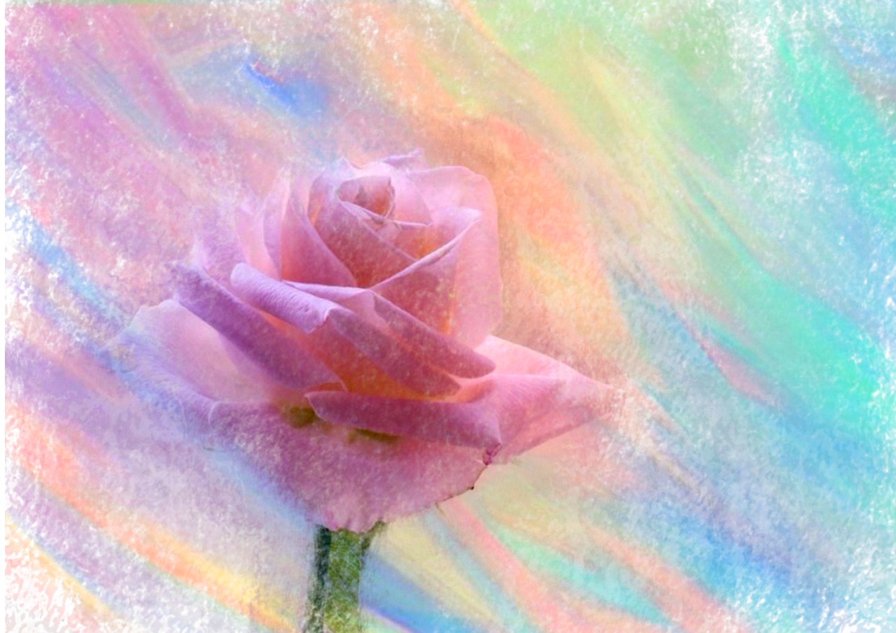 flower art background free photo